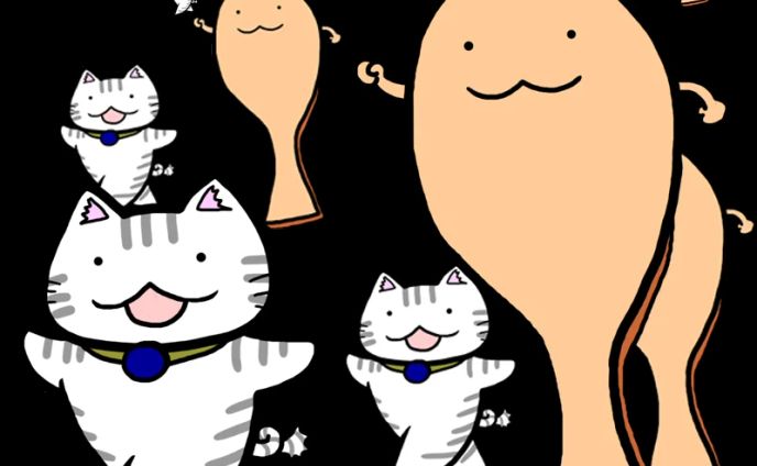 ダンシング・猫😺