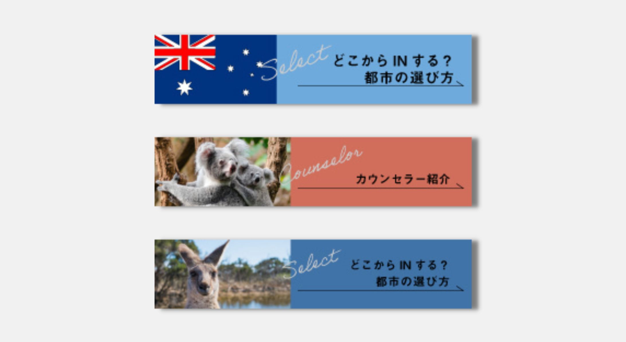 アイコン｜留学支援企業様-1