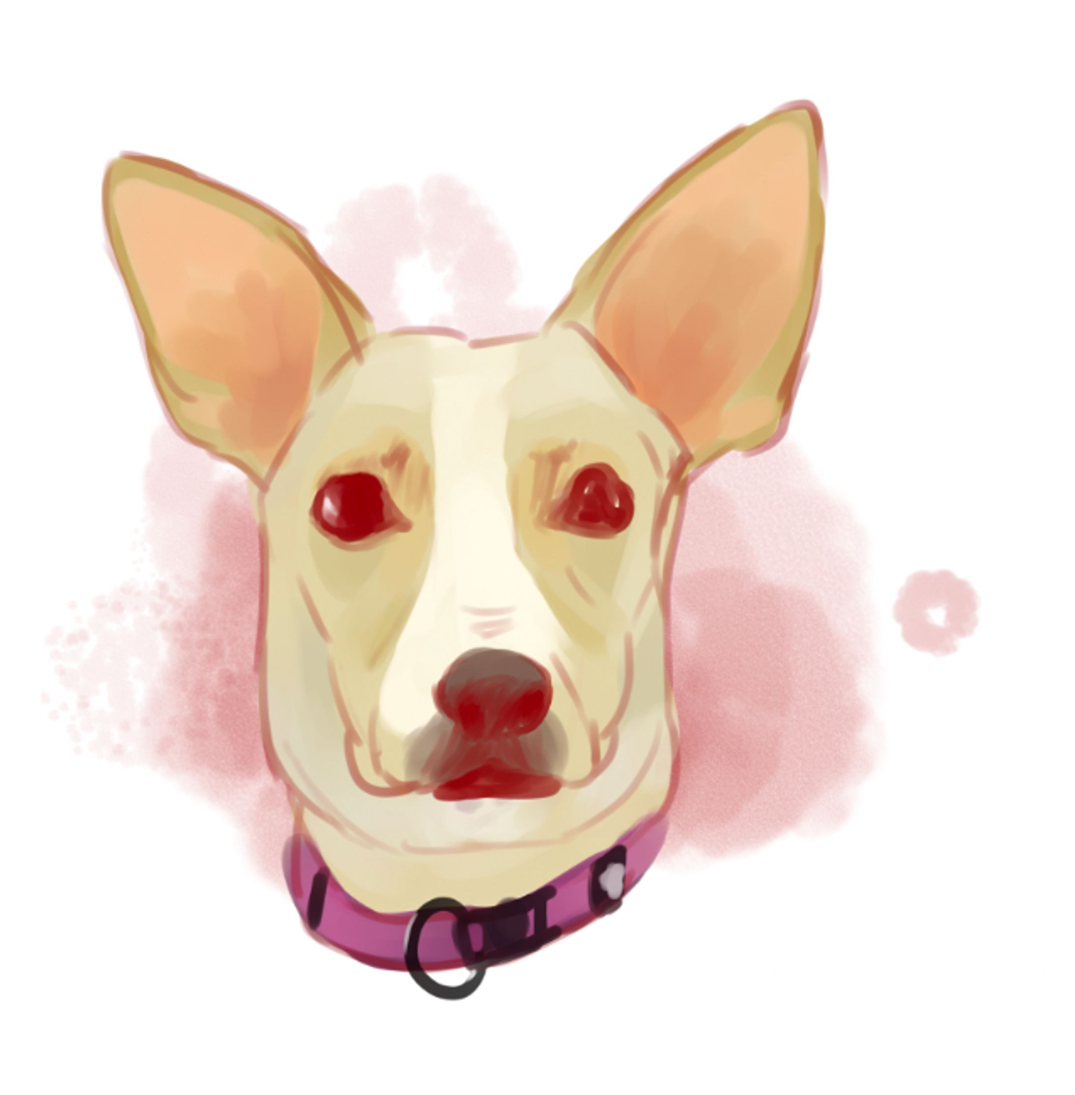 doggo-1