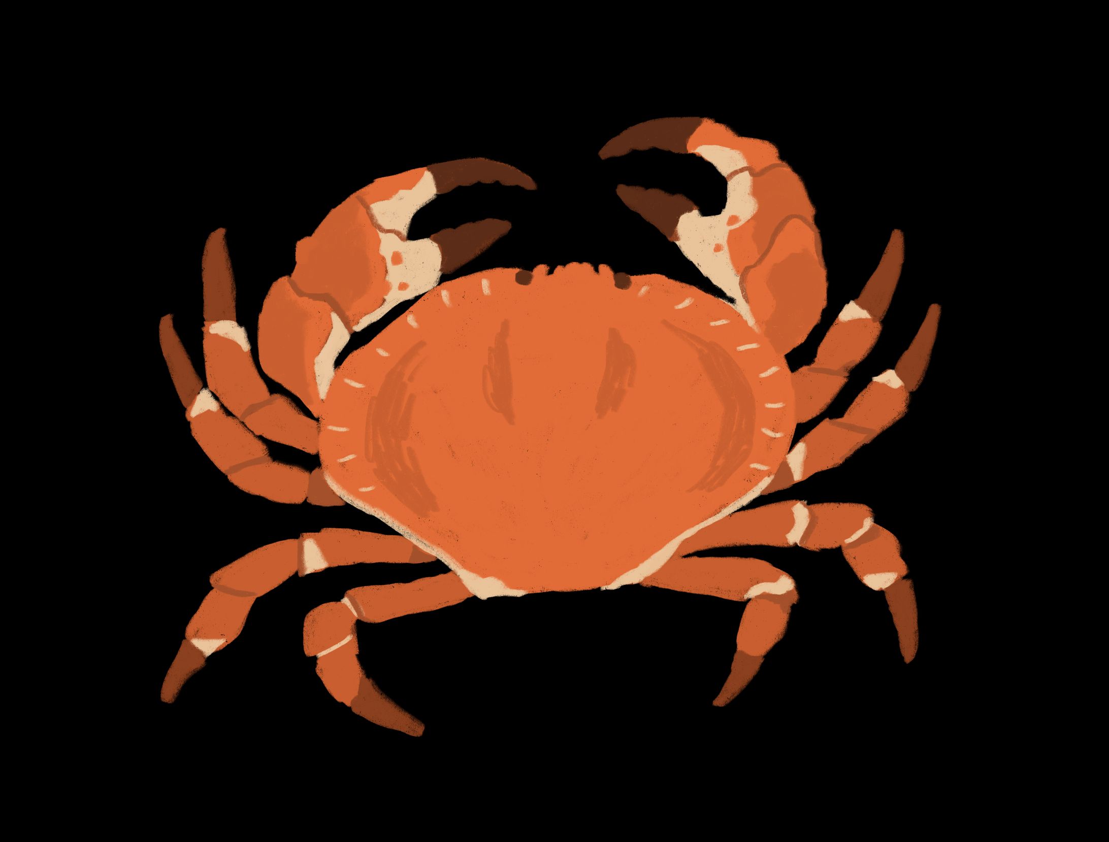 かにイラスト-1