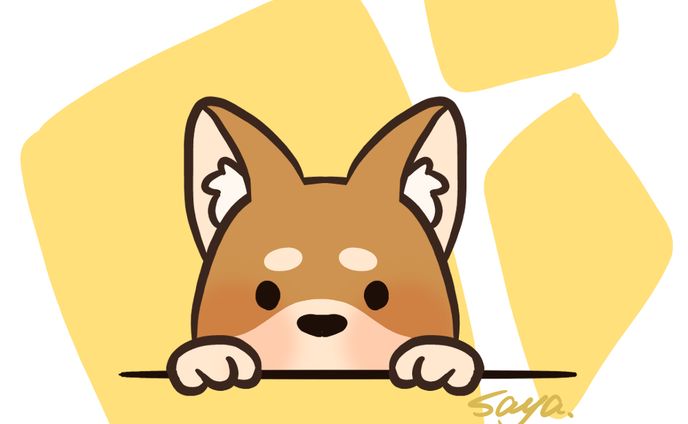 柴犬1