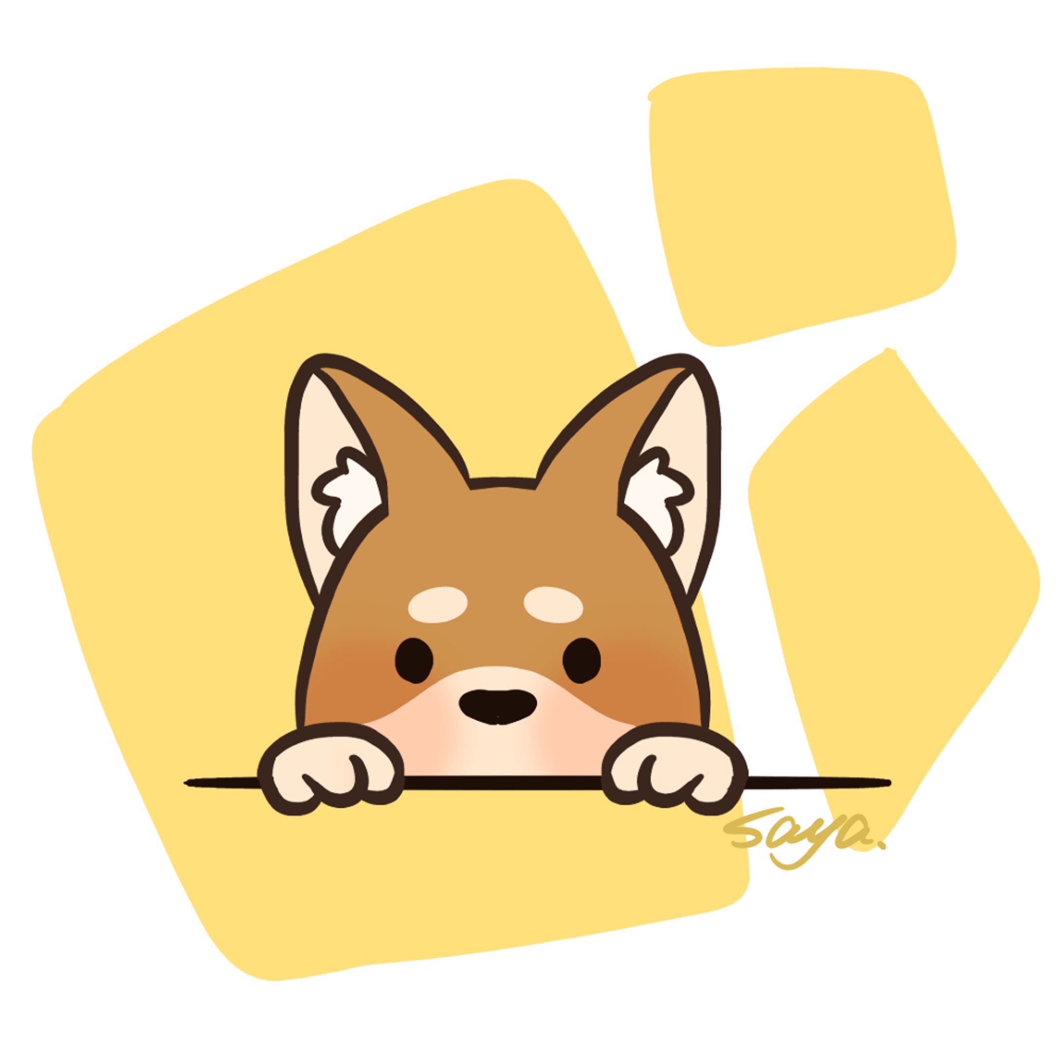 柴犬1-1