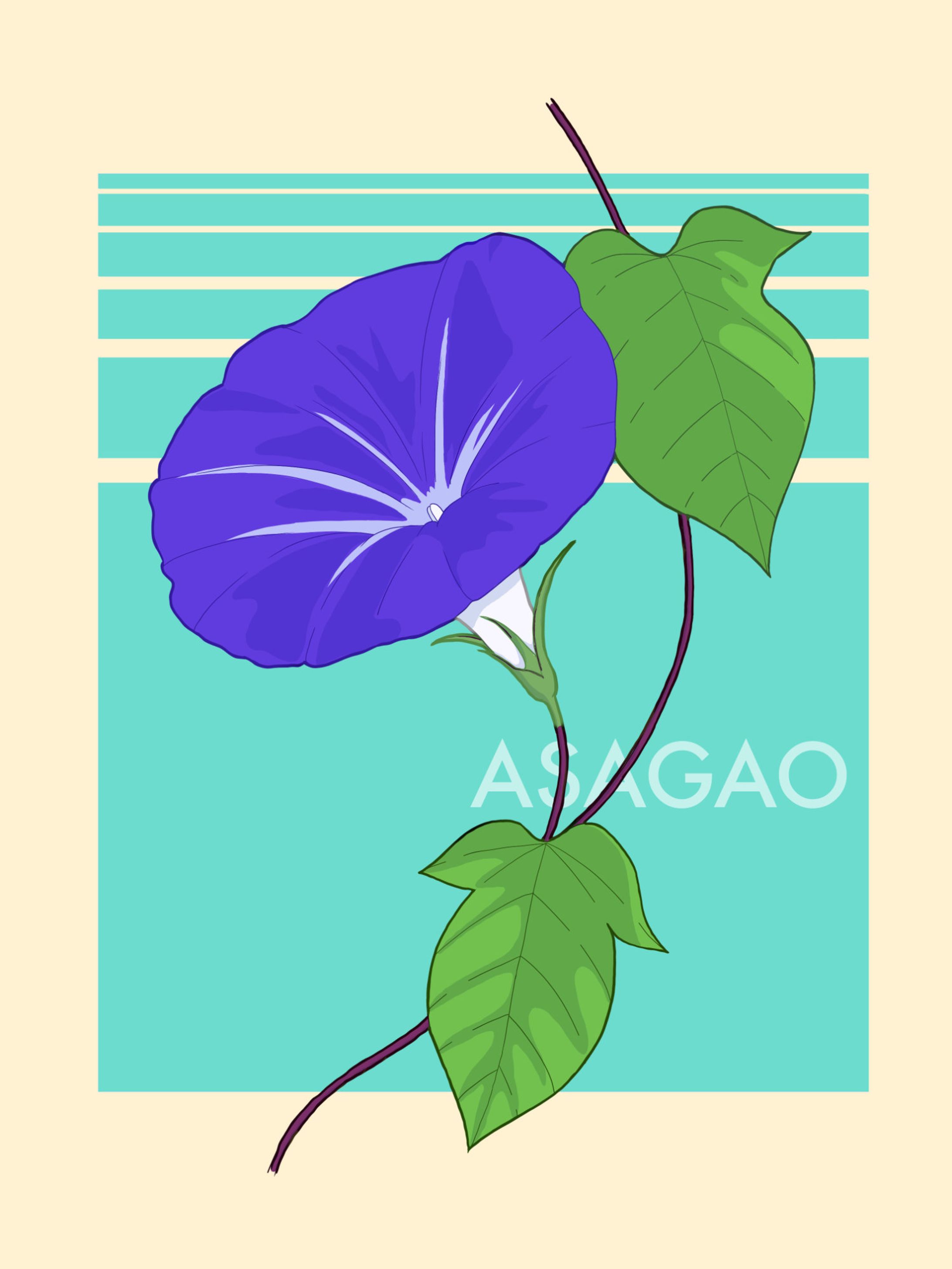 植物イラスト（朝顔）-1