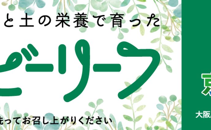 映像、レイアウトデザイン
