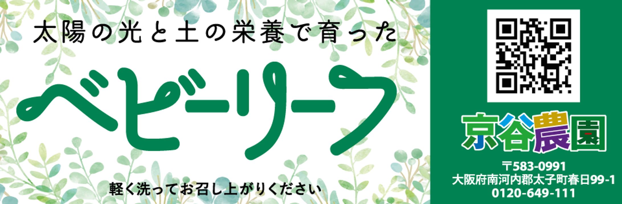 【商品ラベル】ベビーリーフ・ルッコラ-1