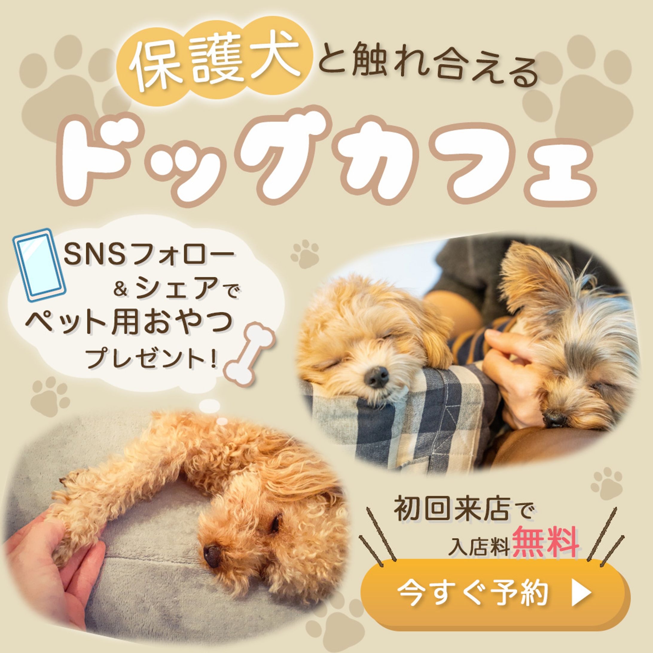 ドッグカフェ-1