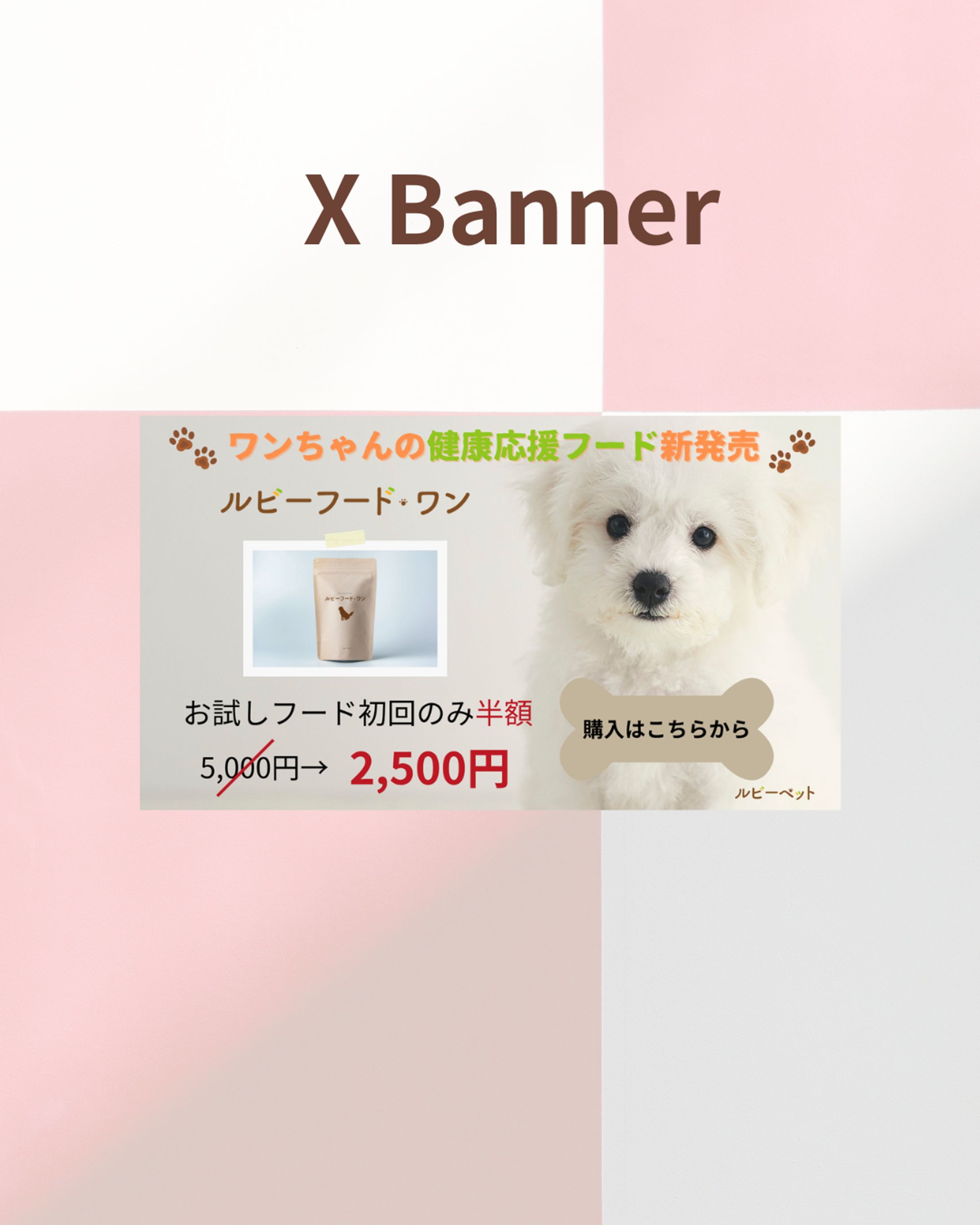 ワンちゃんの健康応援フード新発売！-1