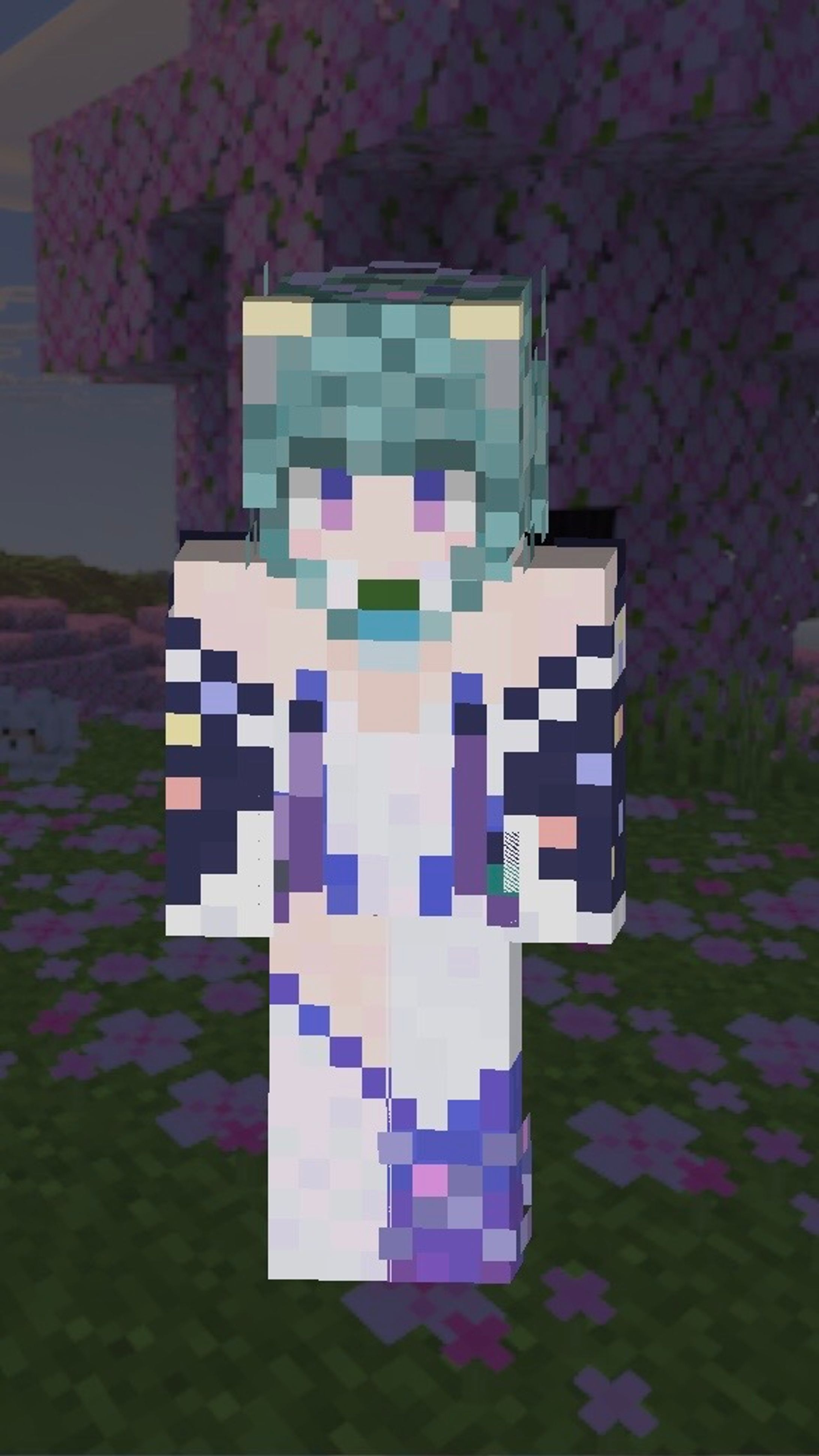 マイクラスキン-1