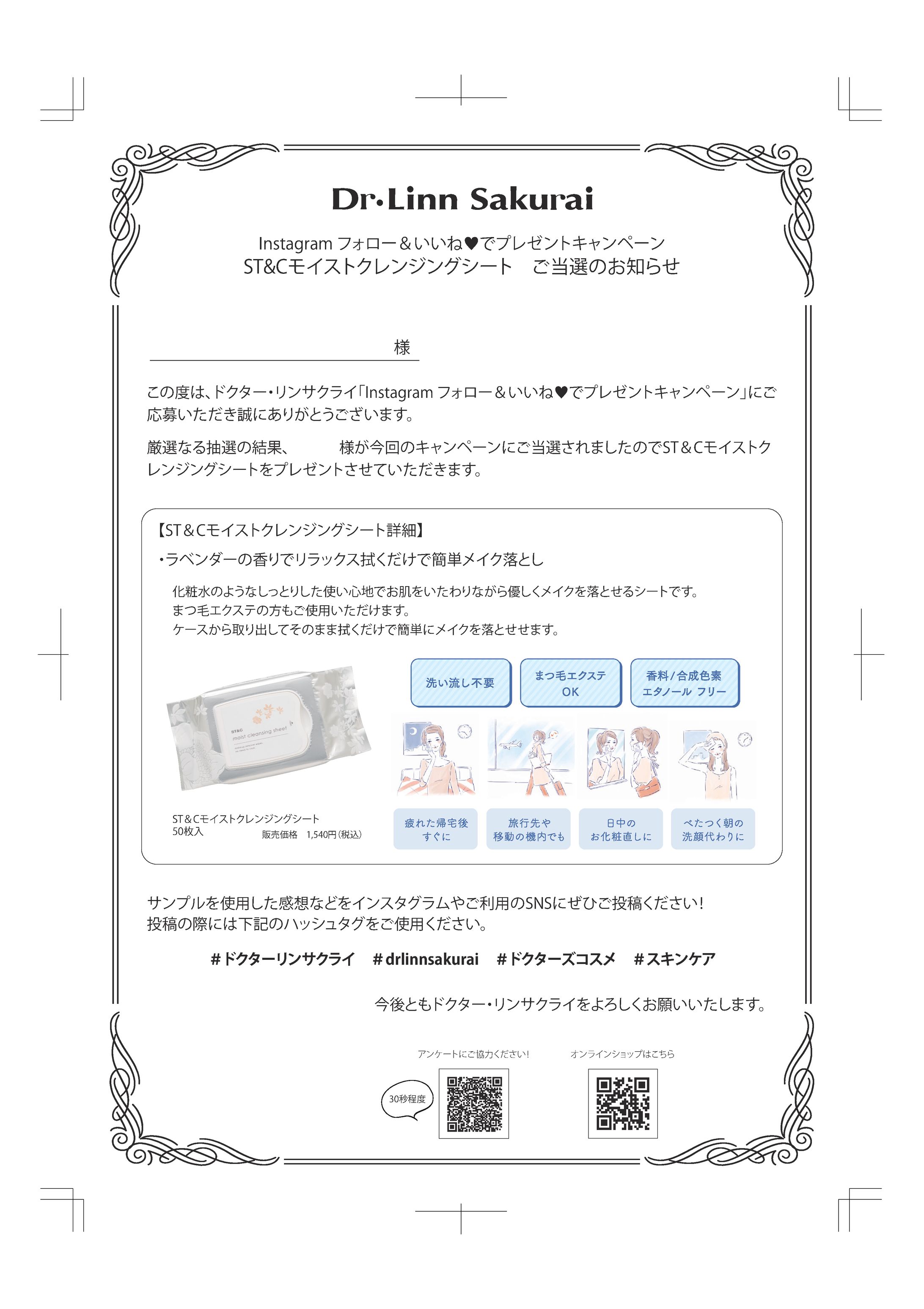 【レア品】なみのりピカチュウプレゼント　キャンペーン　当選通知書 レア品】なみのりピカチュウプレゼント キャンペーン 当選通知書