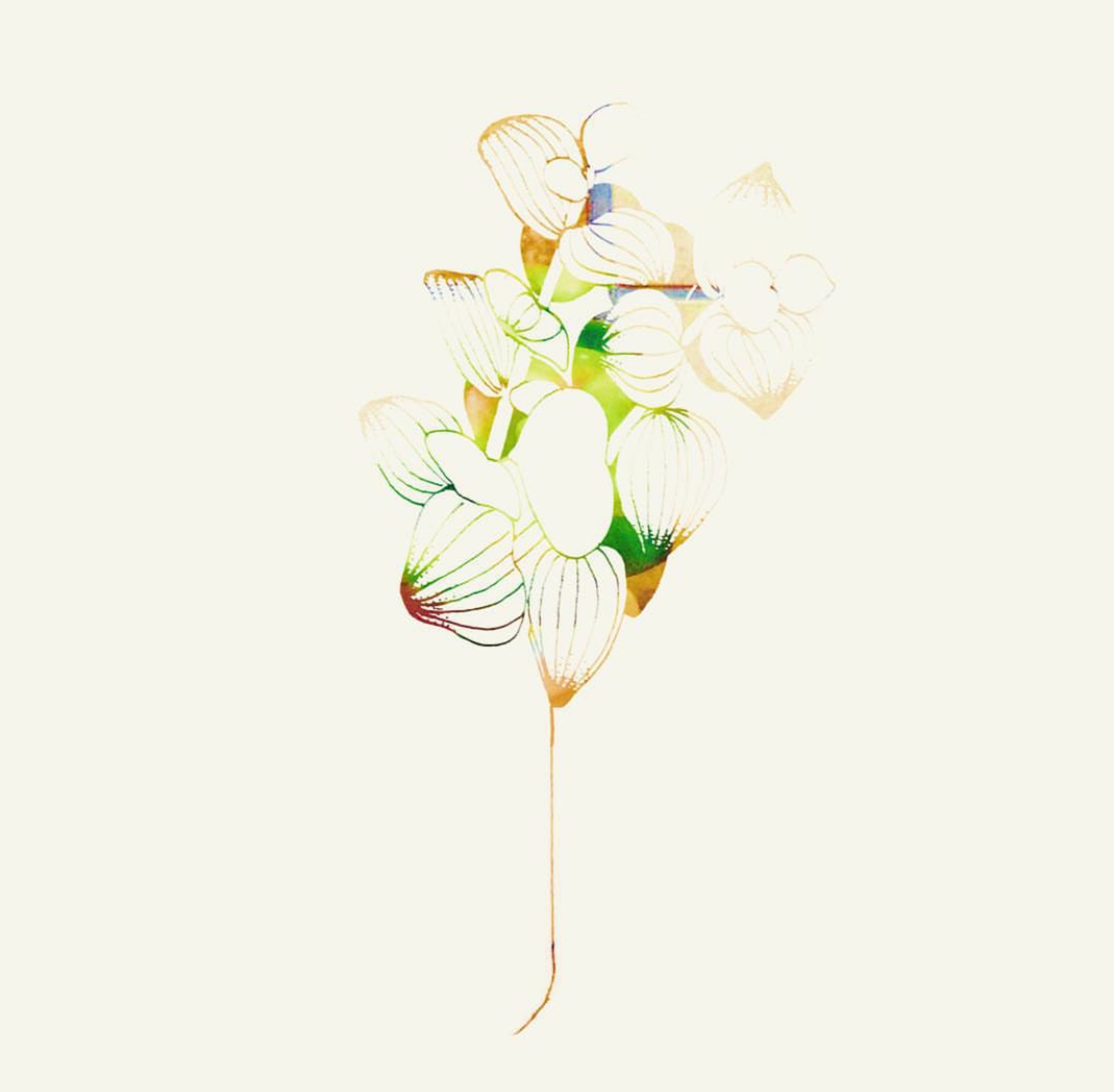 大学 イラストレーション-1