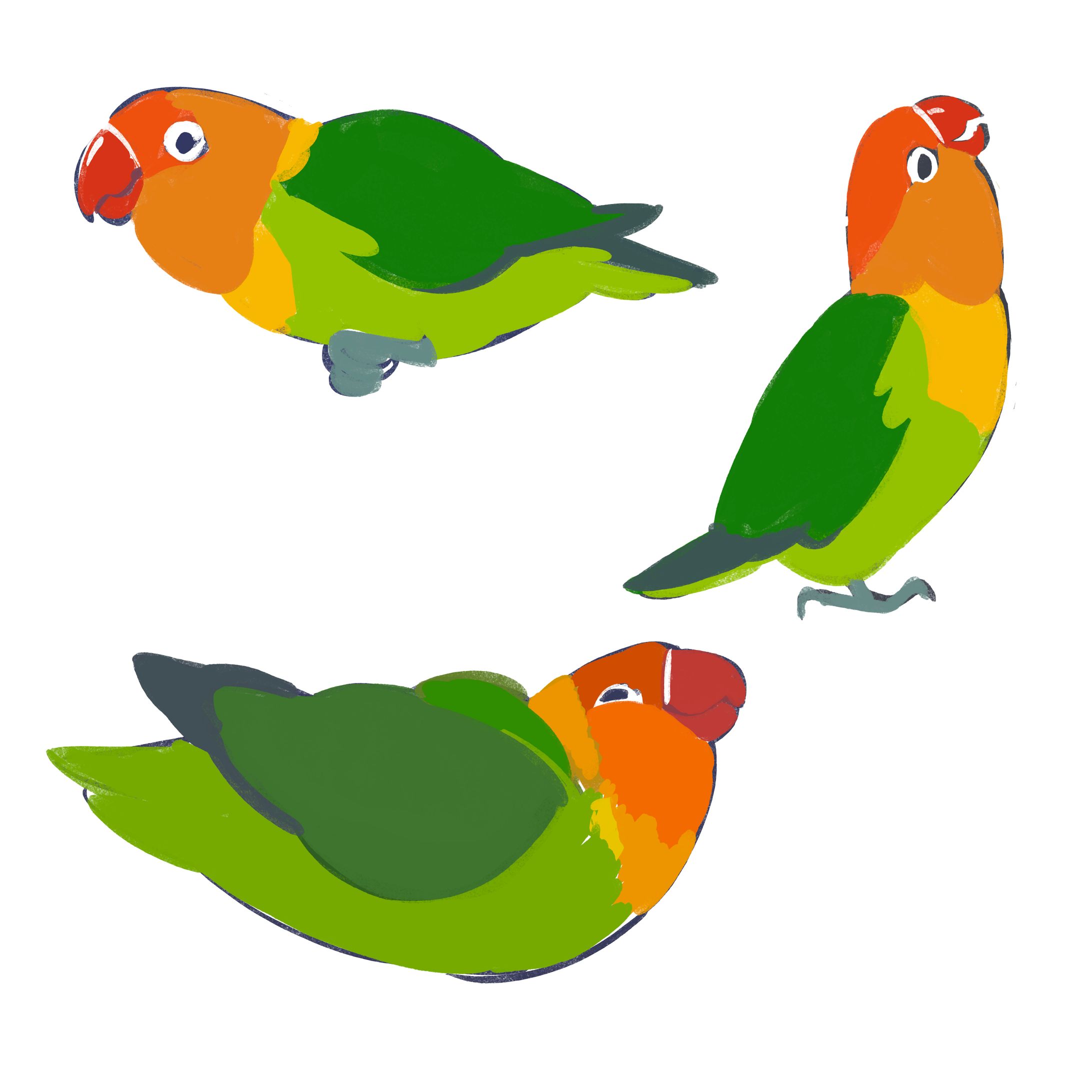 Thumbnails: Lovebird Tattoo Designs-1