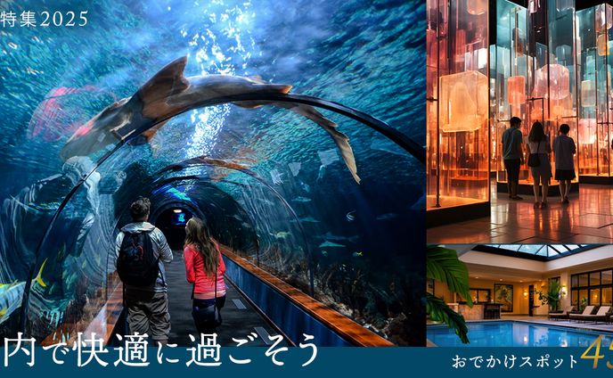 【自主制作】旅行会社の夏のバナー
