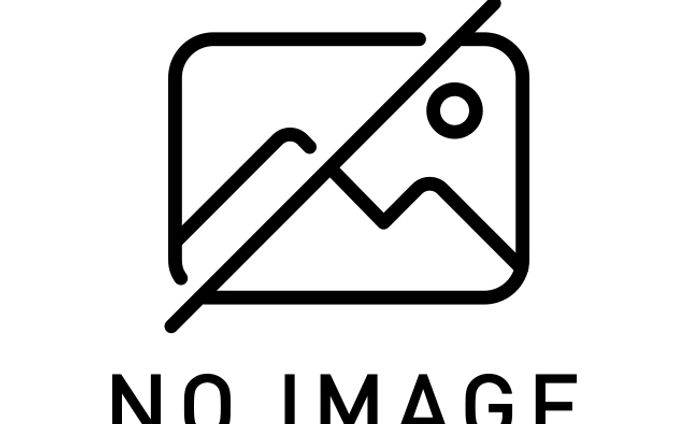 【非公開】コンソールソフト（2025）