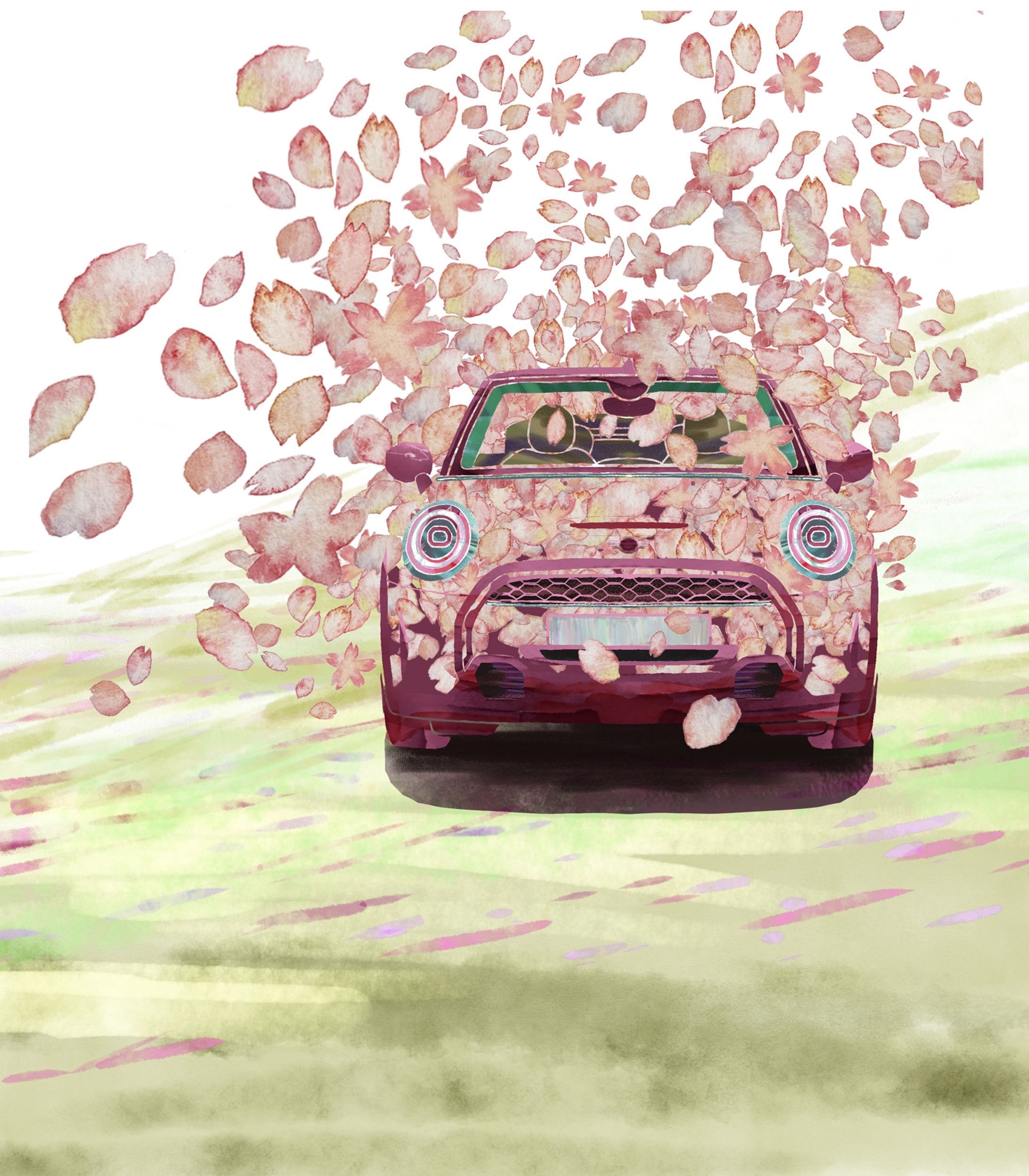 MINI 桜ステッカー-1
