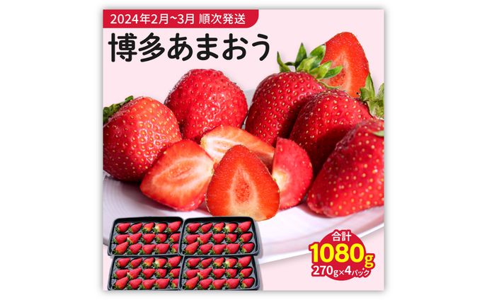プロデューサー、デザイナー