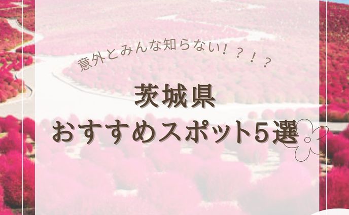 『茨城県おすすめスポット5選』をまとめてみました！
他にもオススメがあればコメントで教えてください🙇🏻‍♀️‪‪❤︎‬

2.#日立駅 

3.#ほしいも神社 

4.#酒列磯前神社 

5.#竜神大吊橋 

6. #ひたちなか海浜公園 

@usatabi__u._.u_でメンションor
#うさたび🏷𓈒𓏸︎をつけて
おすすめのスポット教えてください✨️

.˚⊹⁺‧┈┈┈┈┈┈┈┈┈┈┈┈‧⁺ ⊹˚.
＼”オシャレな旅に”／を発信しますꪔ̤

︎✿人気観光スポット
︎✿おすすめ旅行プラン
︎✿お得なクーポン情報

@usatabi__u._.u_

.˚⊹⁺‧┈┈┈┈┈┈┈┈┈┈┈┈‧⁺ ⊹˚.
#旅女子  #旅行  #旅  #旅好き  #旅スポット #旅巡り  #観光  #観光スポット  #観光地巡り  #観光名所  #旅行好きな人と繋がりたい  #旅行好き女子  #usatabi  #うさたび  #茨城  #茨城おすすめ  #茨城おすすめスポット  #茨城県観光  #茨城旅行
