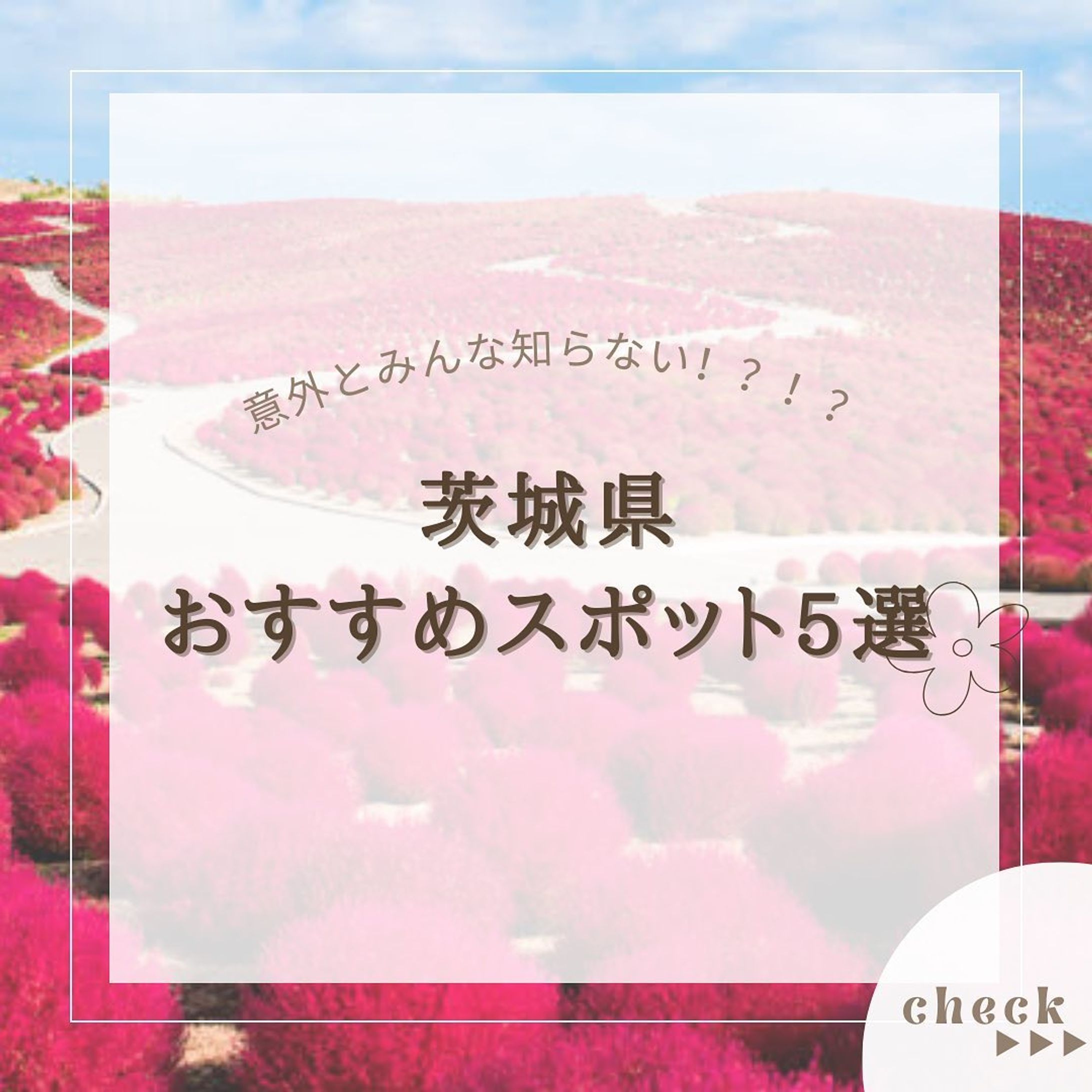 『茨城県おすすめスポット5選』をまとめてみました！
他にもオススメがあればコメントで教えてください🙇🏻‍♀️‪‪❤︎‬

2.#日立駅 

3.#ほしいも神社 

4.#酒列磯前神社 

5.#竜神大吊橋 

6. #ひたちなか海浜公園 

@usatabi__u._.u_でメンションor
#うさたび🏷𓈒𓏸︎をつけて
おすすめのスポット教えてください✨️

.˚⊹⁺‧┈┈┈┈┈┈┈┈┈┈┈┈‧⁺ ⊹˚.
＼”オシャレな旅に”／を発信しますꪔ̤

︎✿人気観光スポット
︎✿おすすめ旅行プラン
︎✿お得なクーポン情報

@usatabi__u._.u_

.˚⊹⁺‧┈┈┈┈┈┈┈┈┈┈┈┈‧⁺ ⊹˚.
#旅女子  #旅行  #旅  #旅好き  #旅スポット #旅巡り  #観光  #観光スポット  #観光地巡り  #観光名所  #旅行好きな人と繋がりたい  #旅行好き女子  #usatabi  #うさたび  #茨城  #茨城おすすめ  #茨城おすすめスポット  #茨城県観光  #茨城旅行-1