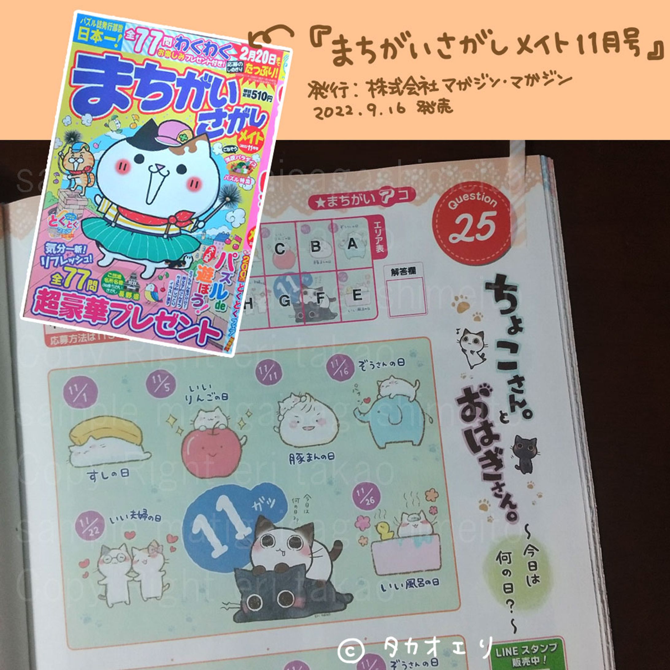 【隔月】『まちがいさがしメイト』（2022年）-1