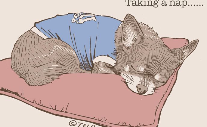 Taking a nap……
#うちの息子のポートレイト
#illustration #portrait #boy