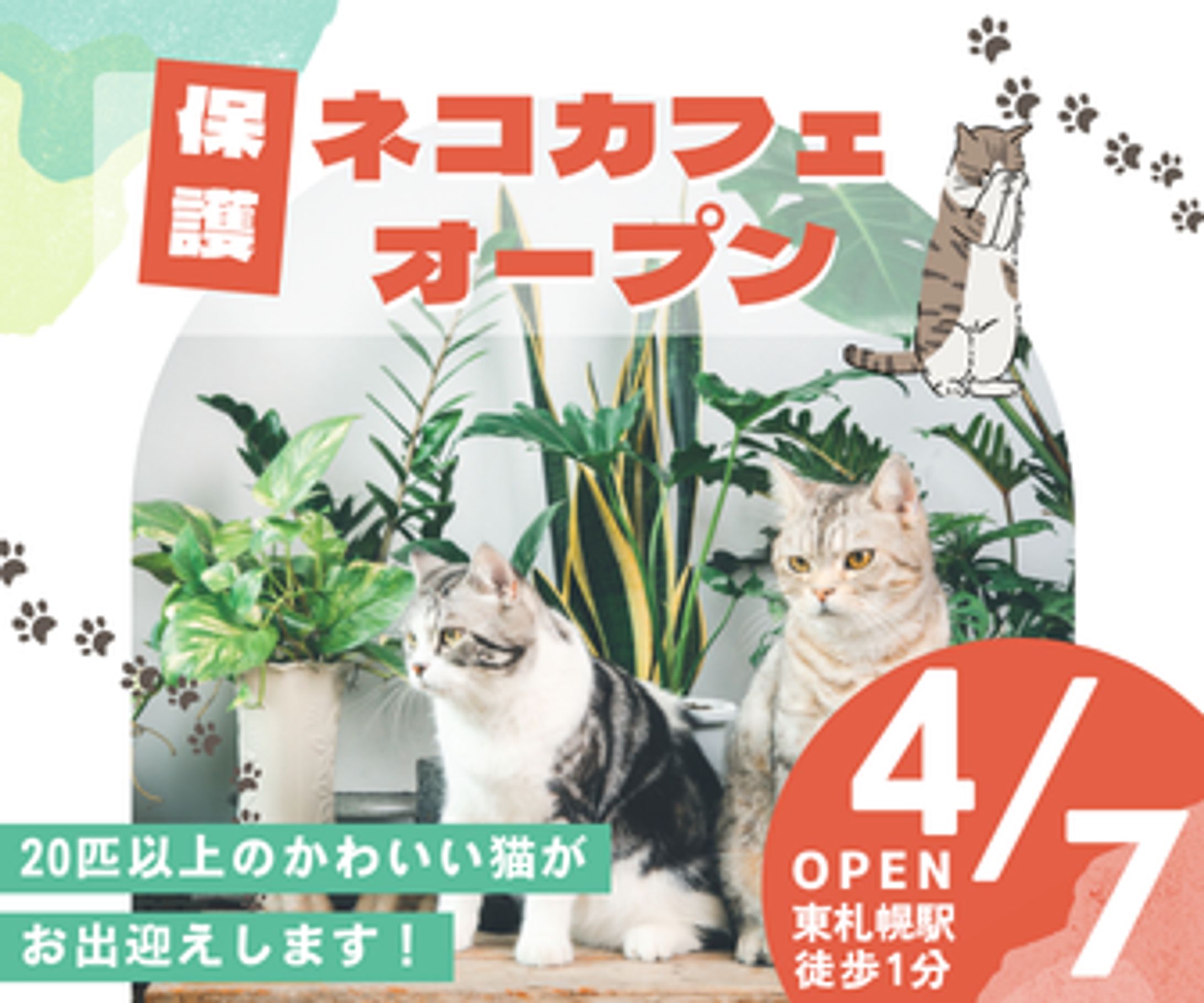 【バナー】ネコカフェOPEN:336×280px-1
