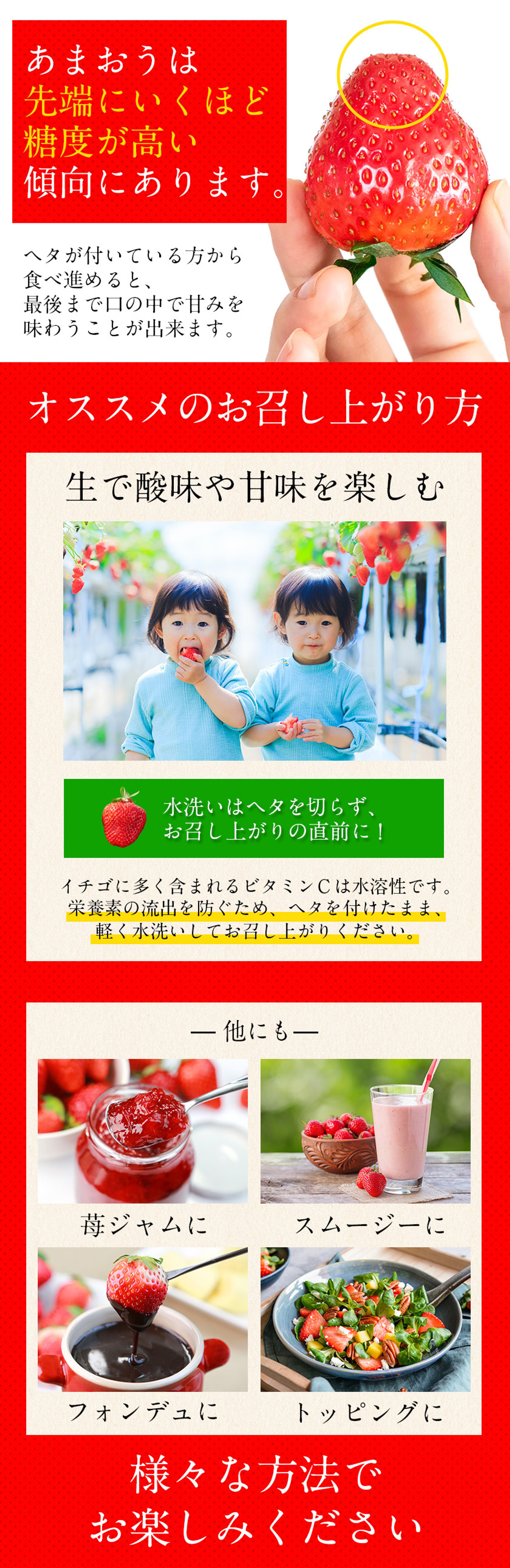 博多あまおう追加コンテンツ-1