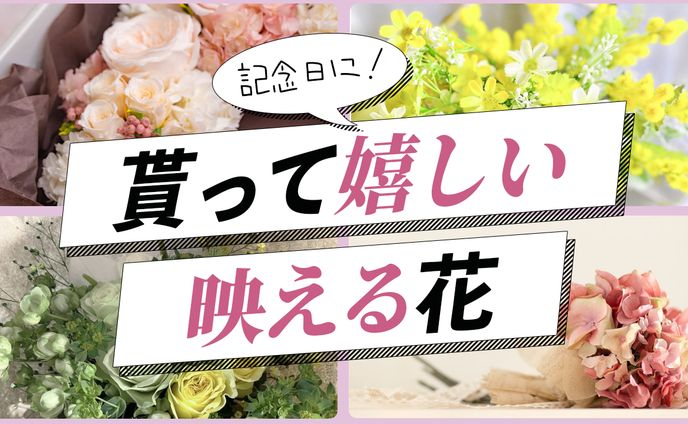 【サムネイル】複数紹介系 