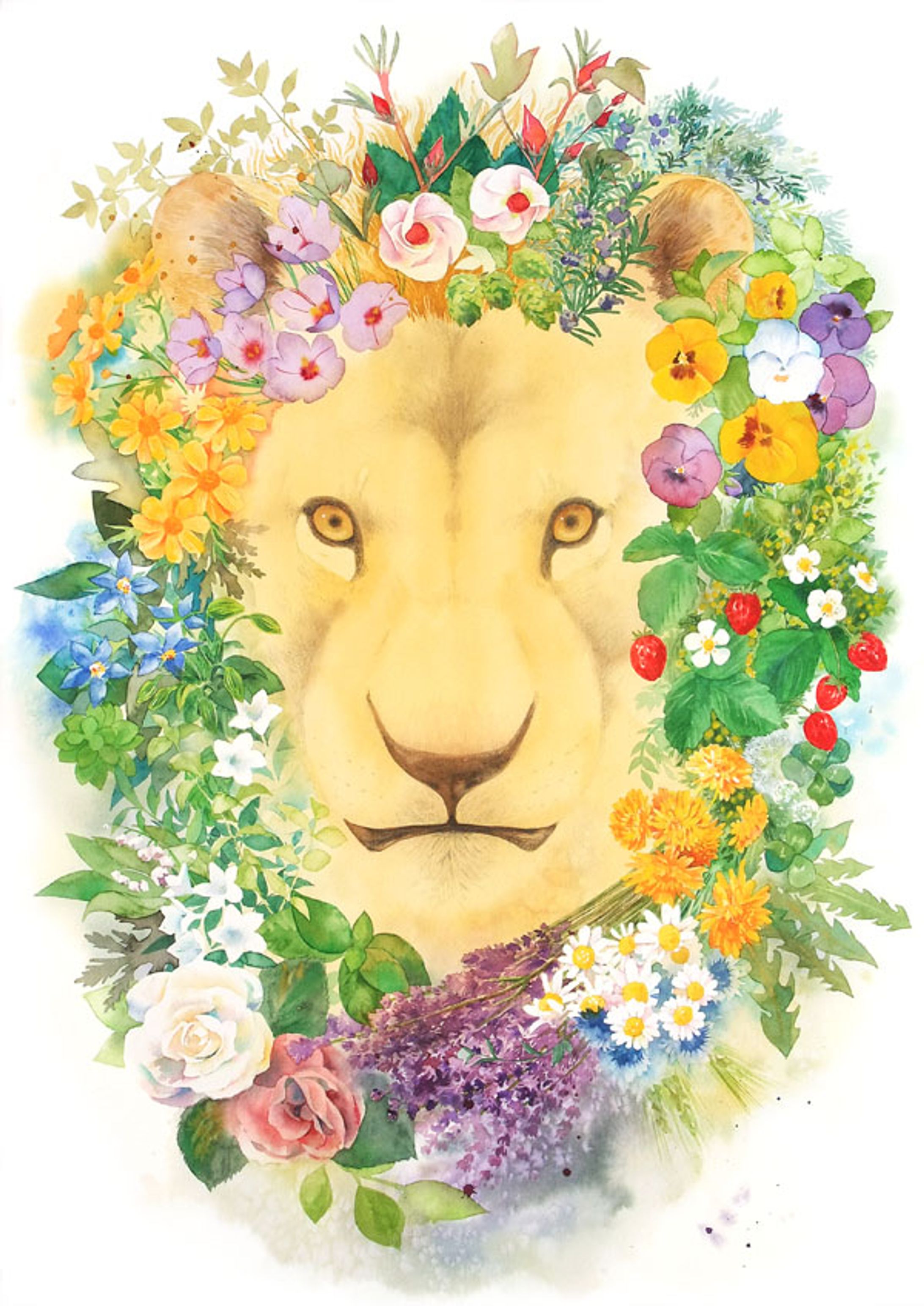 Lion garden-1