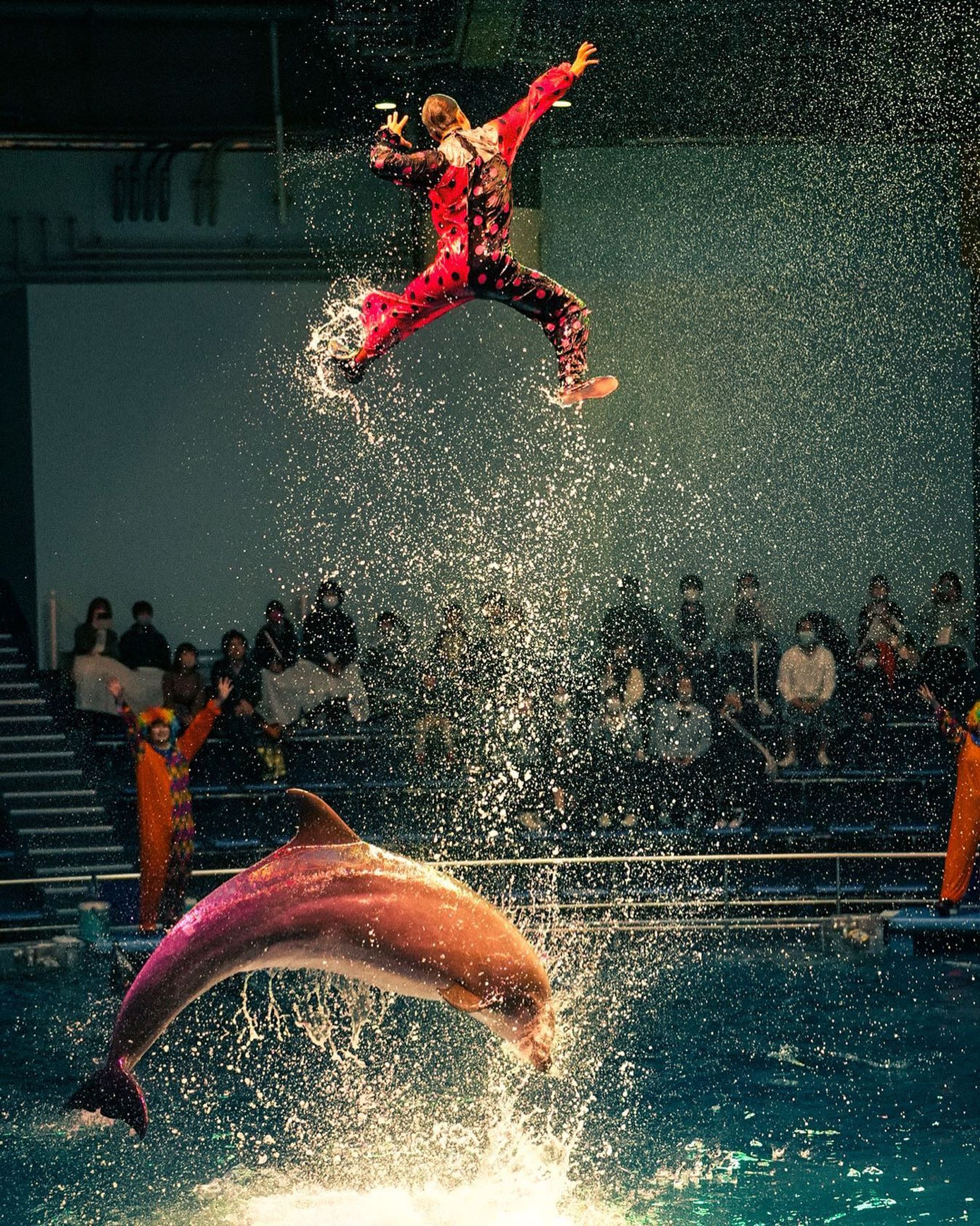 dolphin🐬

設立してすぐに行ったとき以来のアクアパーク品川。
映えスポットとしてインスタで度々見かけてたけど、確かに映えた📸
設立当初はそんな雰囲気ではなかった気がするけど！

イルカショーの構成もしっかりしてたなぁ。。

#アクアパーク品川 #イルカ #dolphin 
#aquarium #photography #halloween-1