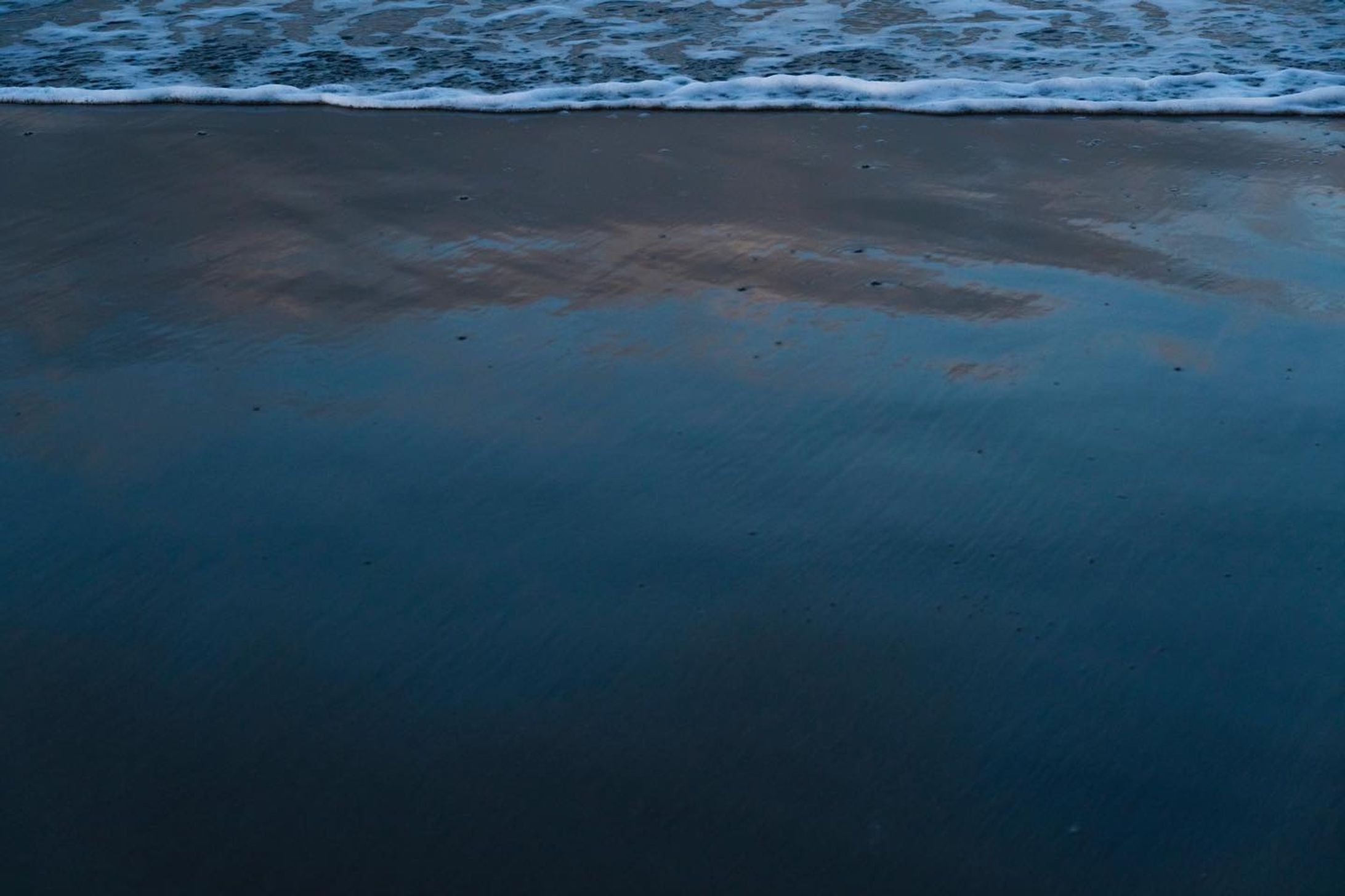 Shimohama Beach in Akita City.

#Japan
#Akita

#日本
#秋田
#下浜


#Sony_α
#Sonyphoto
#bnw_greatshots
#bnw_japan
#bnw_lumeilio
#bnwp_2022
#capturabnw
#composerpro2sweet50
#fineartphotography 
#ig_baoli
#ig_bnw
#igers_bnw
#igersjp
#instagramjapan
#jp_gallery
#lensbabyambassador
#masters_in_bnw
#mood_bw
#ok_bnw
#pr0ject_bnw
#rustlord_unity
#ukphotographmy-1