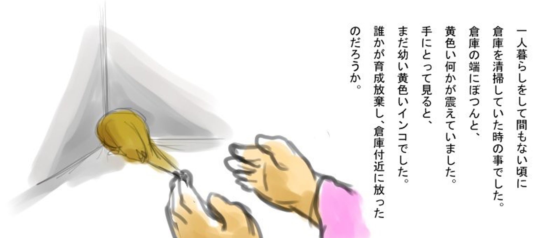 飼い鳥"ピッチの実話絵本-1