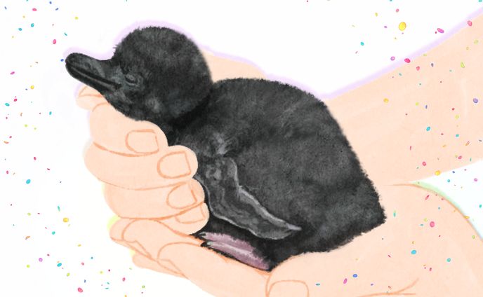 動物イラスト