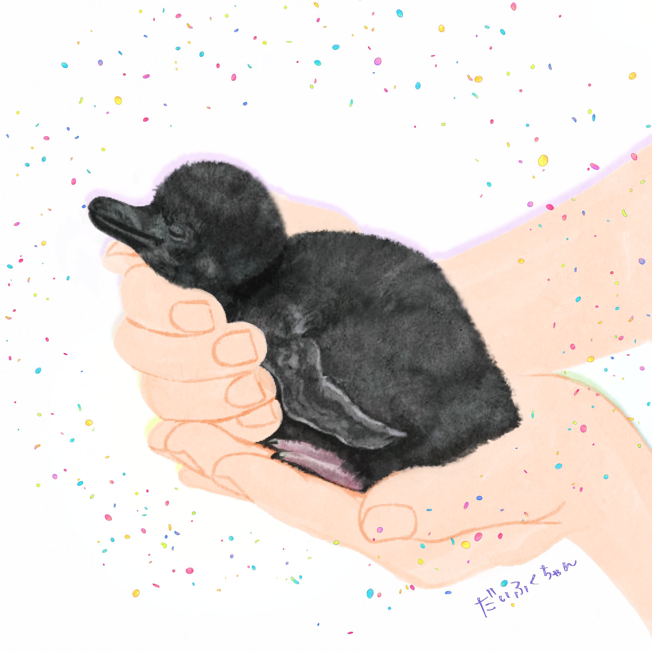 動物イラスト-1