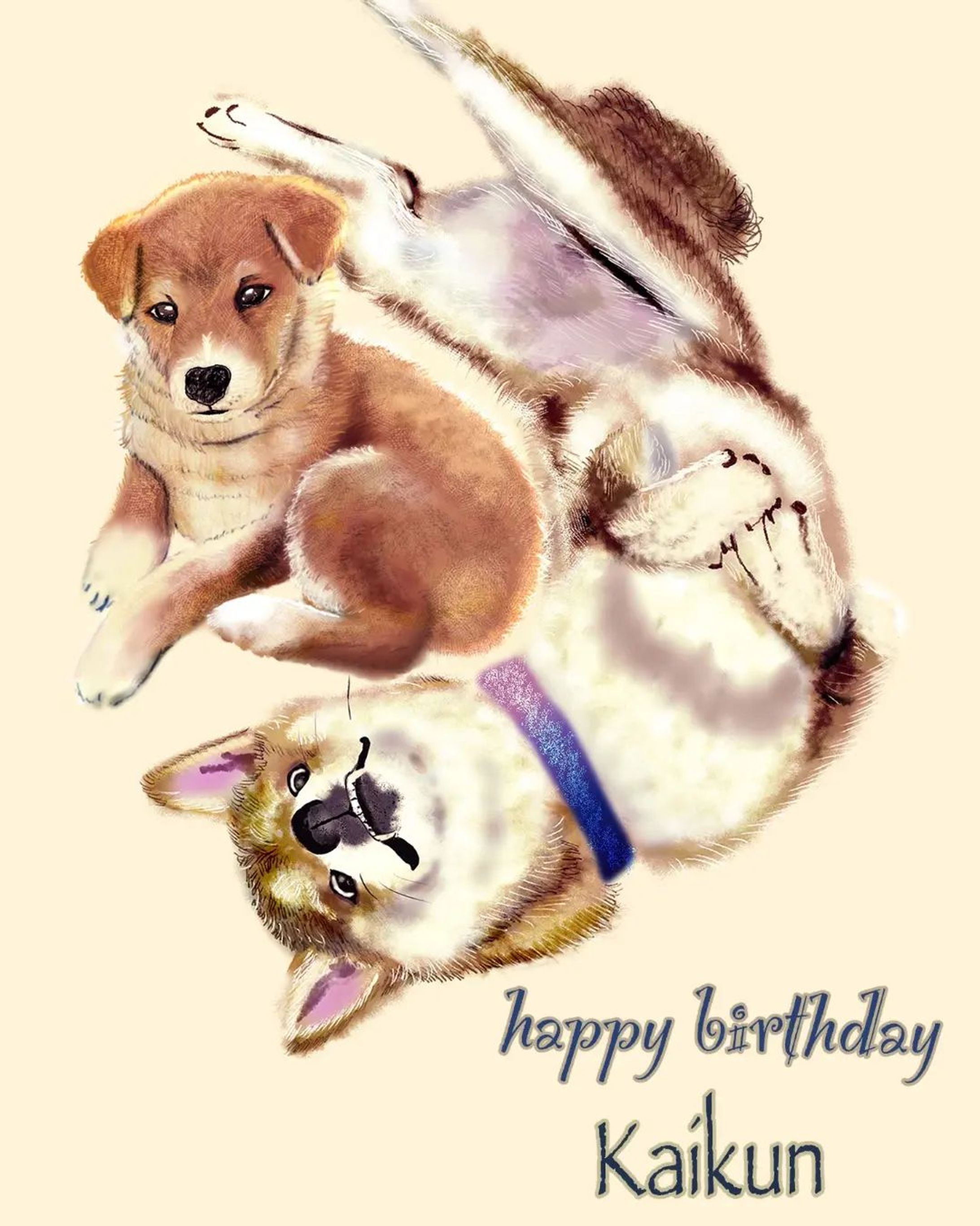 カイ君描き上がりました☺️
お誕生日おめでとうございました。これからもすくすく元気に育ってね、歯ブラシが出来るなんて凄い✨
描かせて下さりありがとうございました！⁡
！⁡
⁡・
#柴犬
#イラスト受付中
#犬のいる暮らし-1