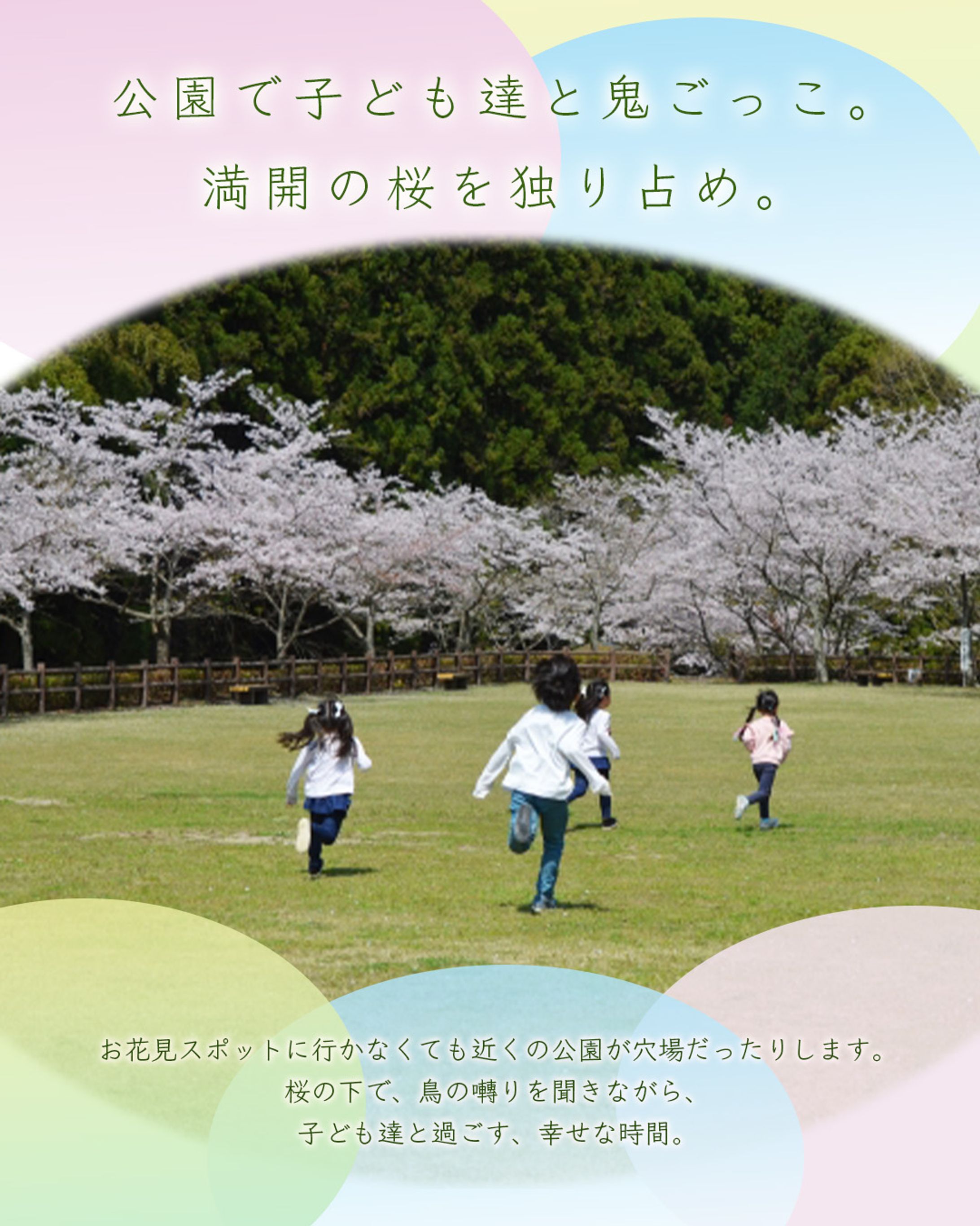 桜スポット　トライアル案件３-1