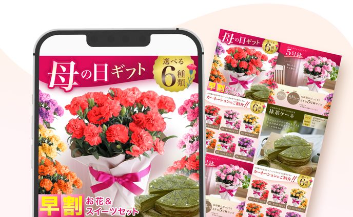 ECサイト 母の日商品画像【自主制作】