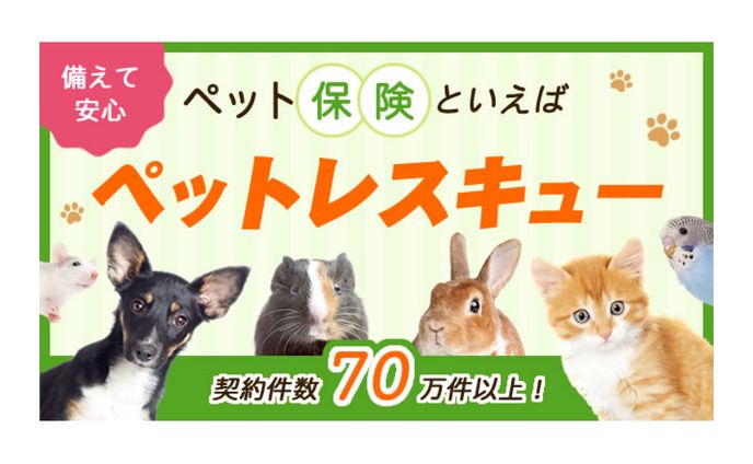 バナー ❘ ペット保険 ペットレスキュー
