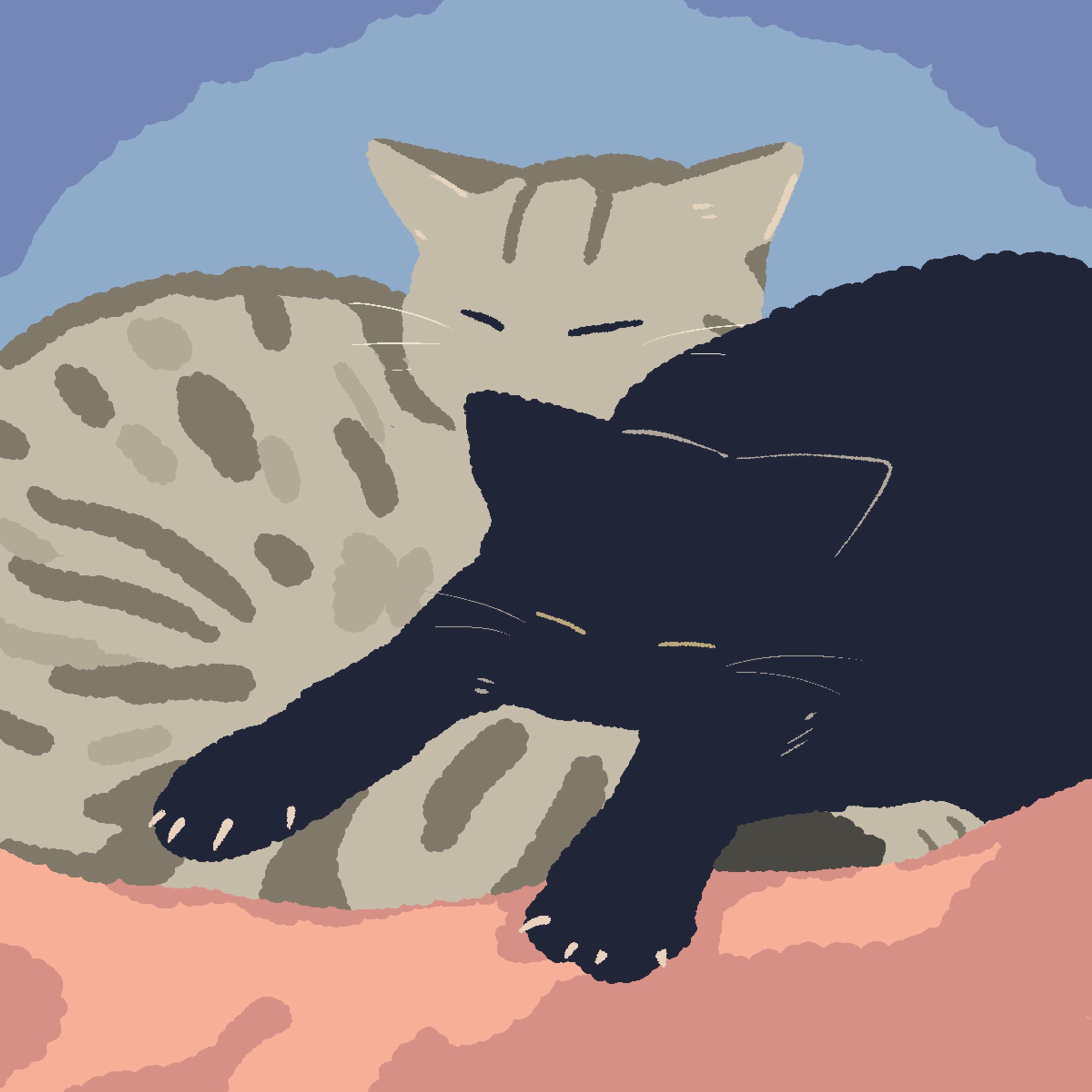 イラスト　猫-1