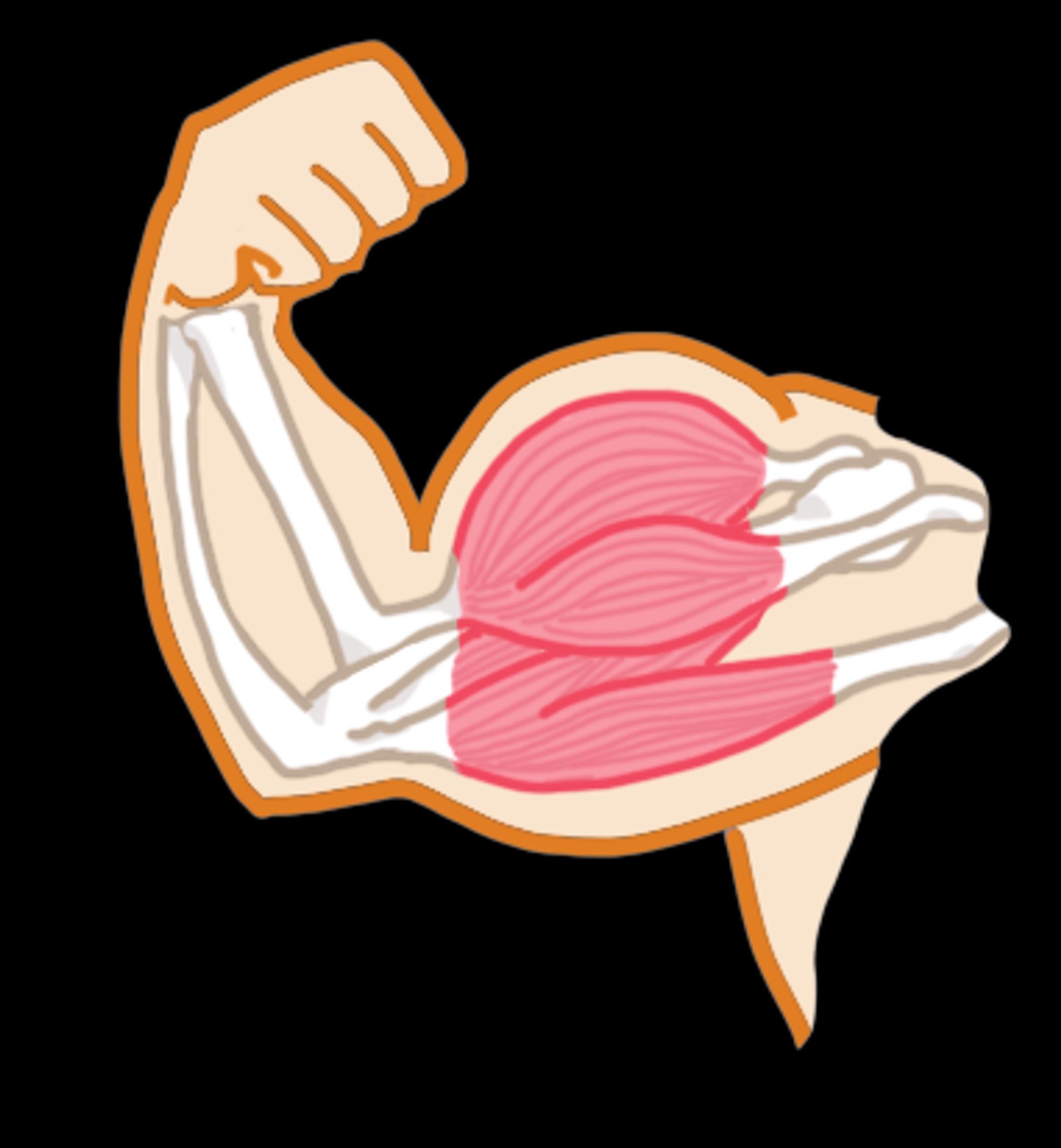 イラスト制作-1