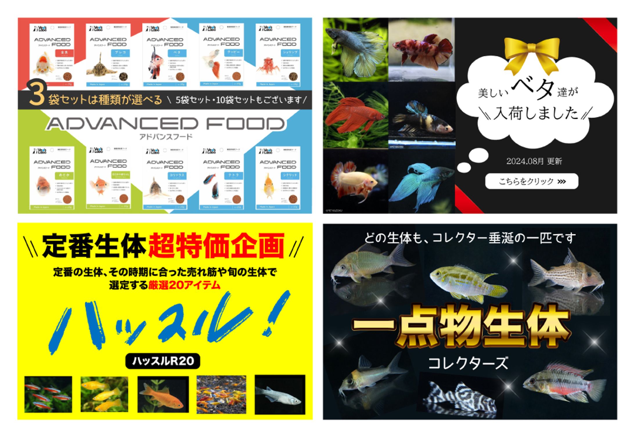 【🐠アクアリウム】楽天・yahooトップページコンテンツバナー制作-1