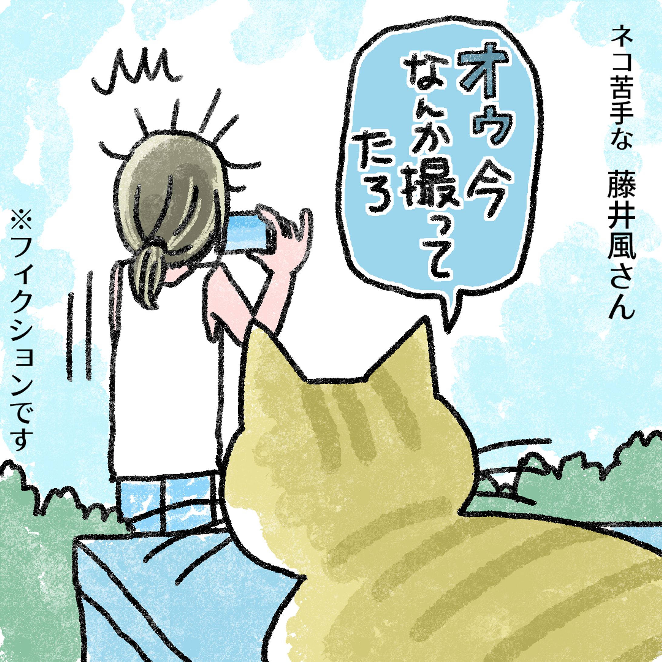 20240728ネコ嫌い風さん動物シリーズ3枚-1