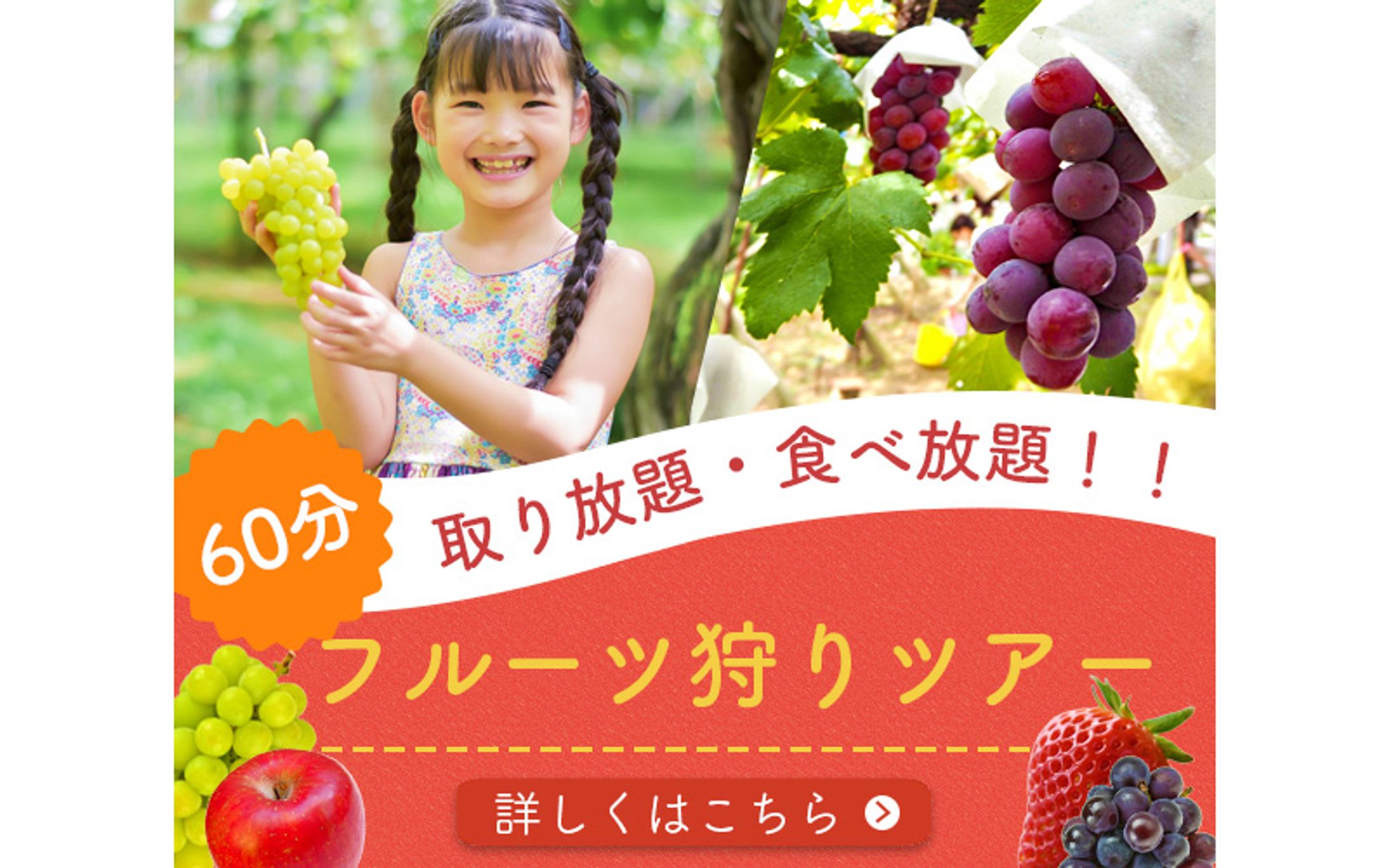 バナー：フルーツ狩り-1
