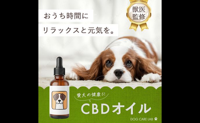 愛犬の健康にCBDオイルを