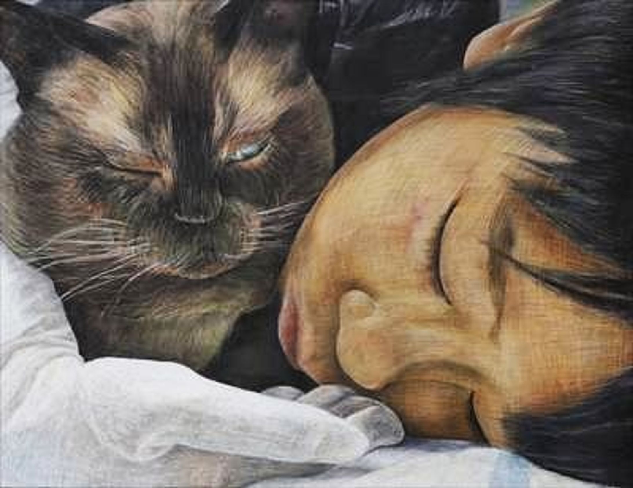 「家族」です。F50, 910× 1168mm 
これも　2016年、第40回記念新日美展に出展しました。奨励賞をもらいました。
#新日本美術協会 #東京都美術館
#保護猫 #猫  #catstagram #petstagram  #cats  #catlife #catlove #animal #cute 
#芸術 #動物 #絵画 #色鉛筆 #colorpencil #pencil #animalillustration  #絵 #draw  #instaart #art #artgram #artwork #artist  #落書き #手書き-1