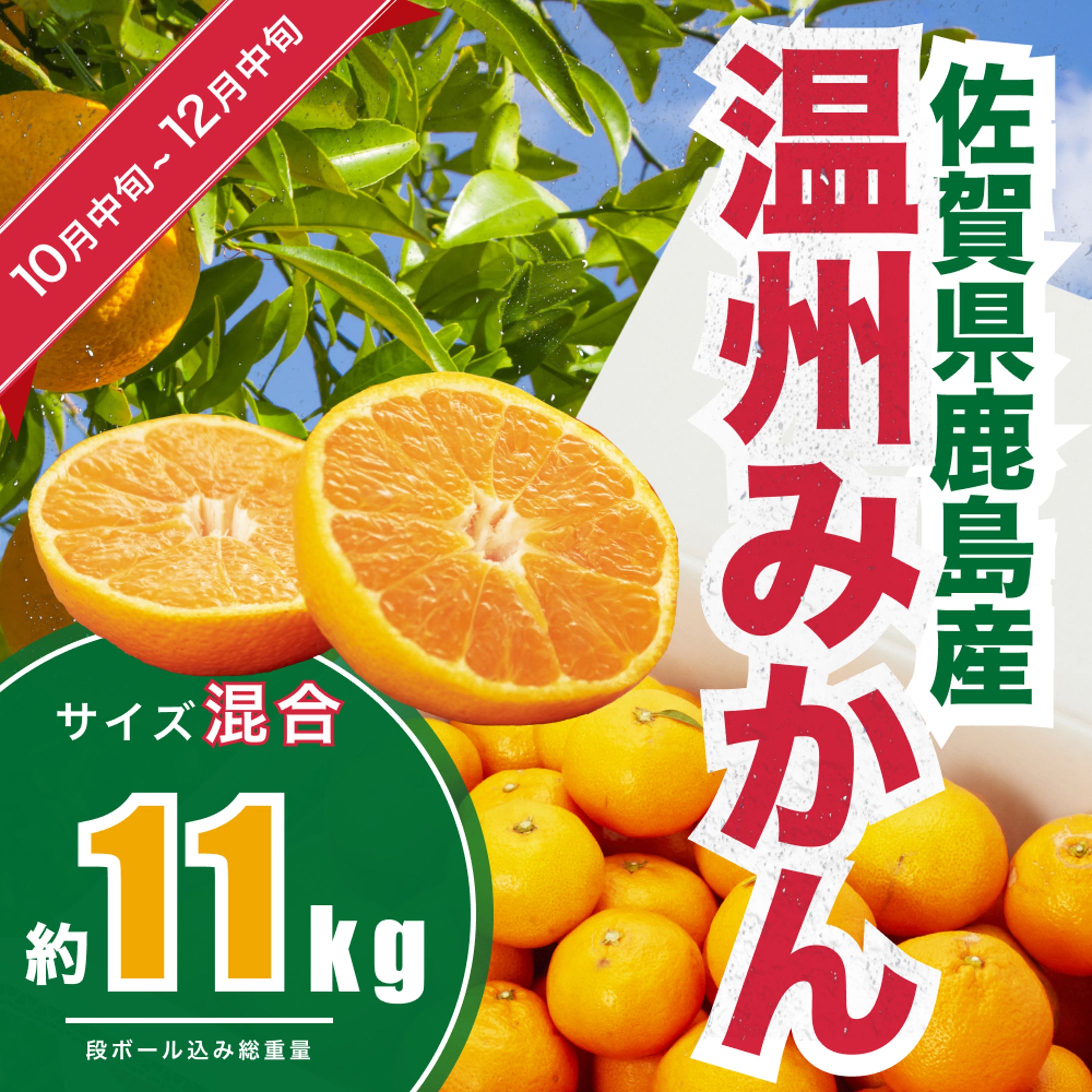 ふるさと納税-1