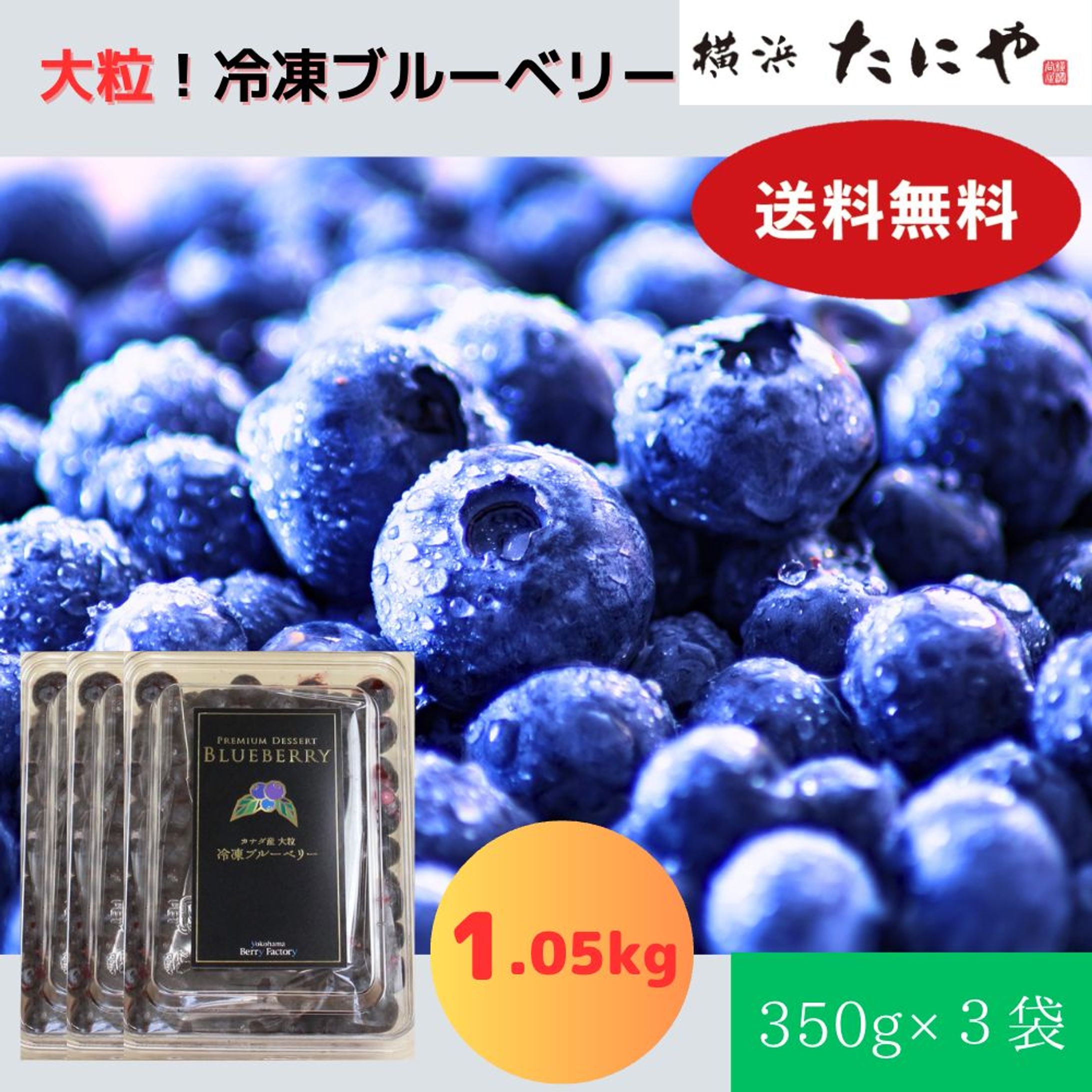 最新-1