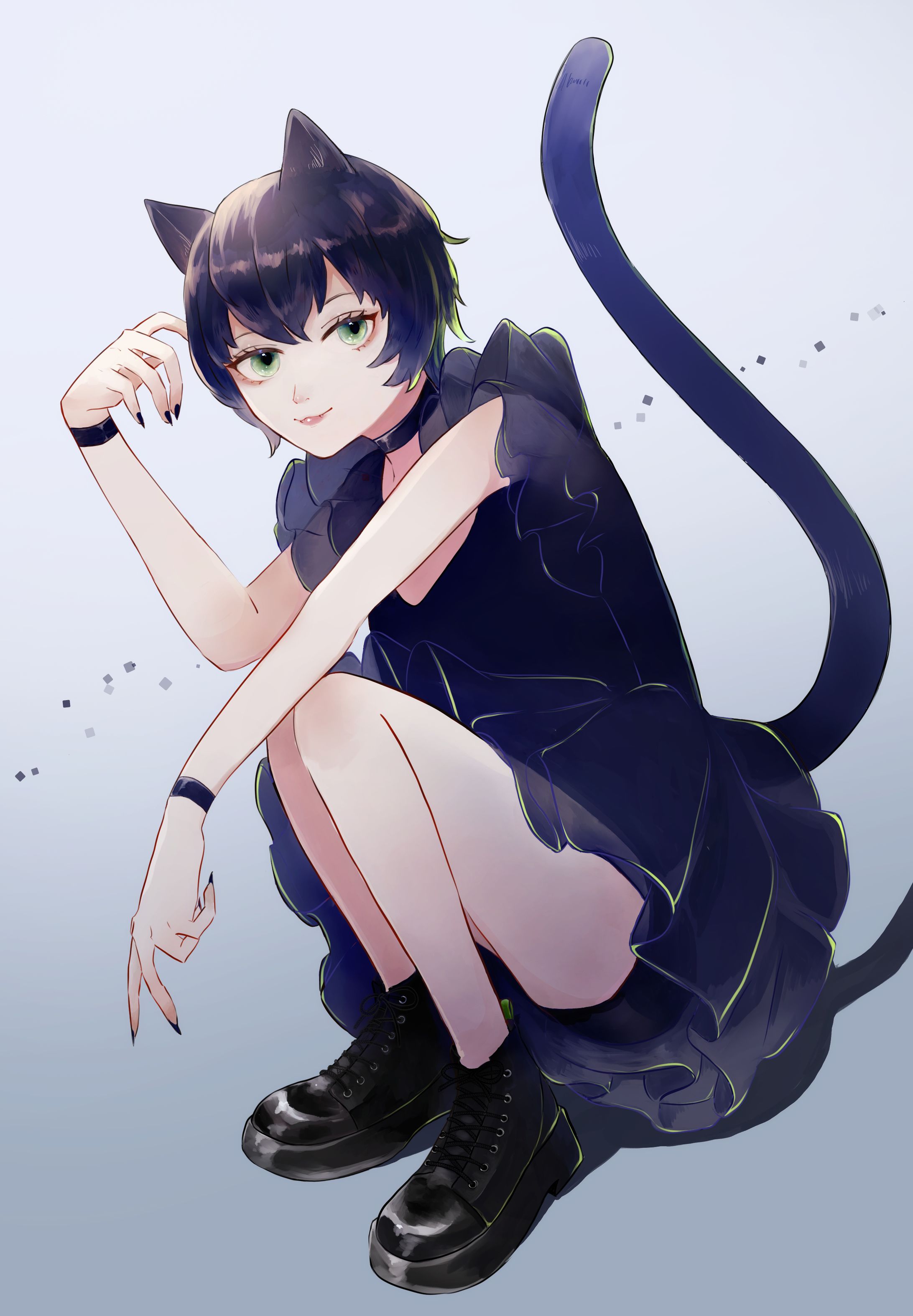 cat-1