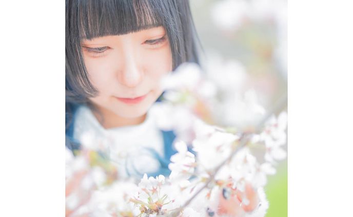 portfolio、モデル