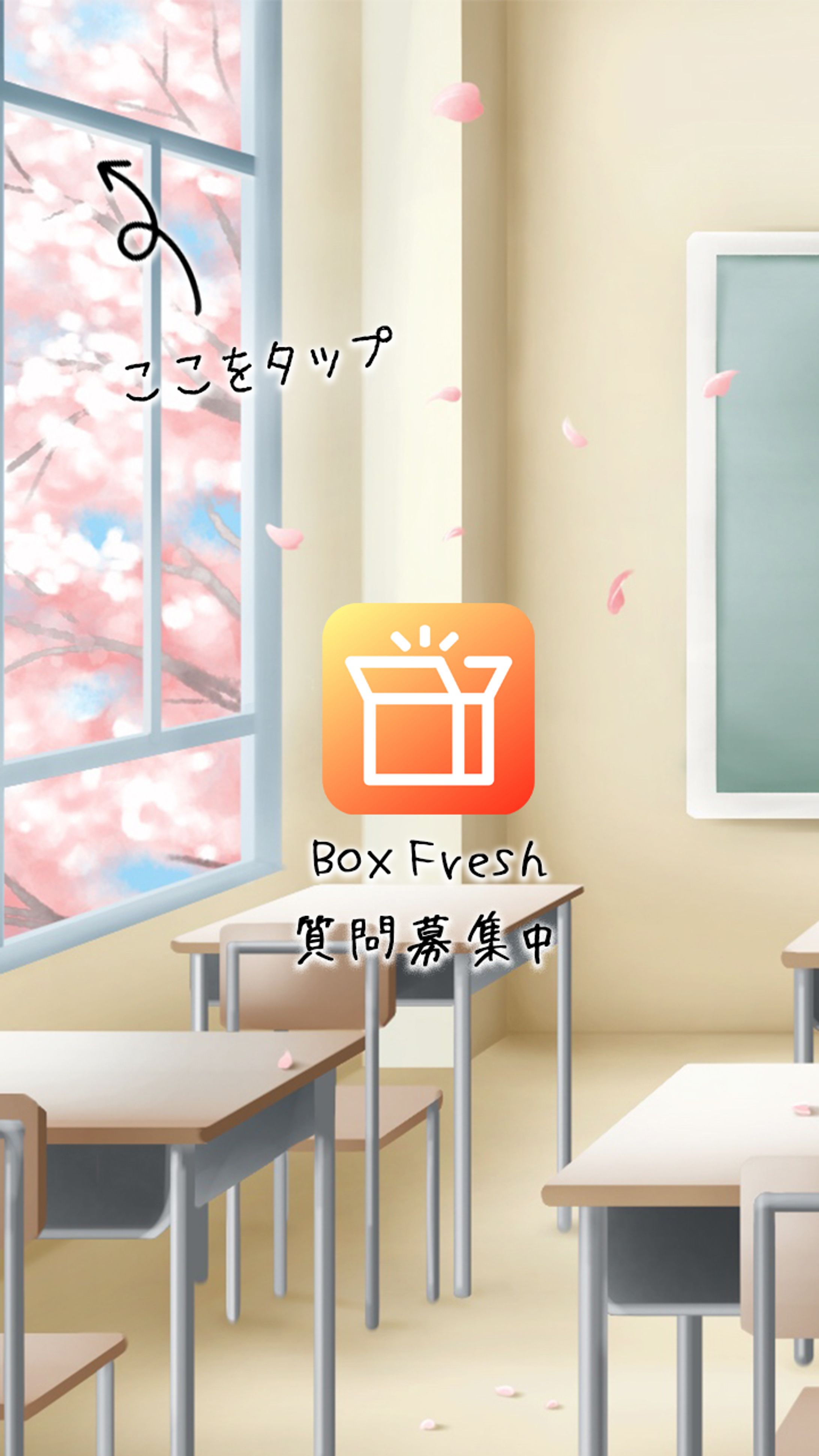 インスタ広告：【Box Fresh様】-1