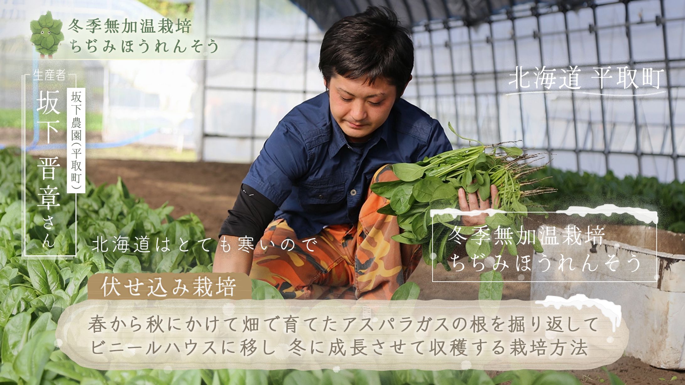 北の新顔冬野菜 番組-1