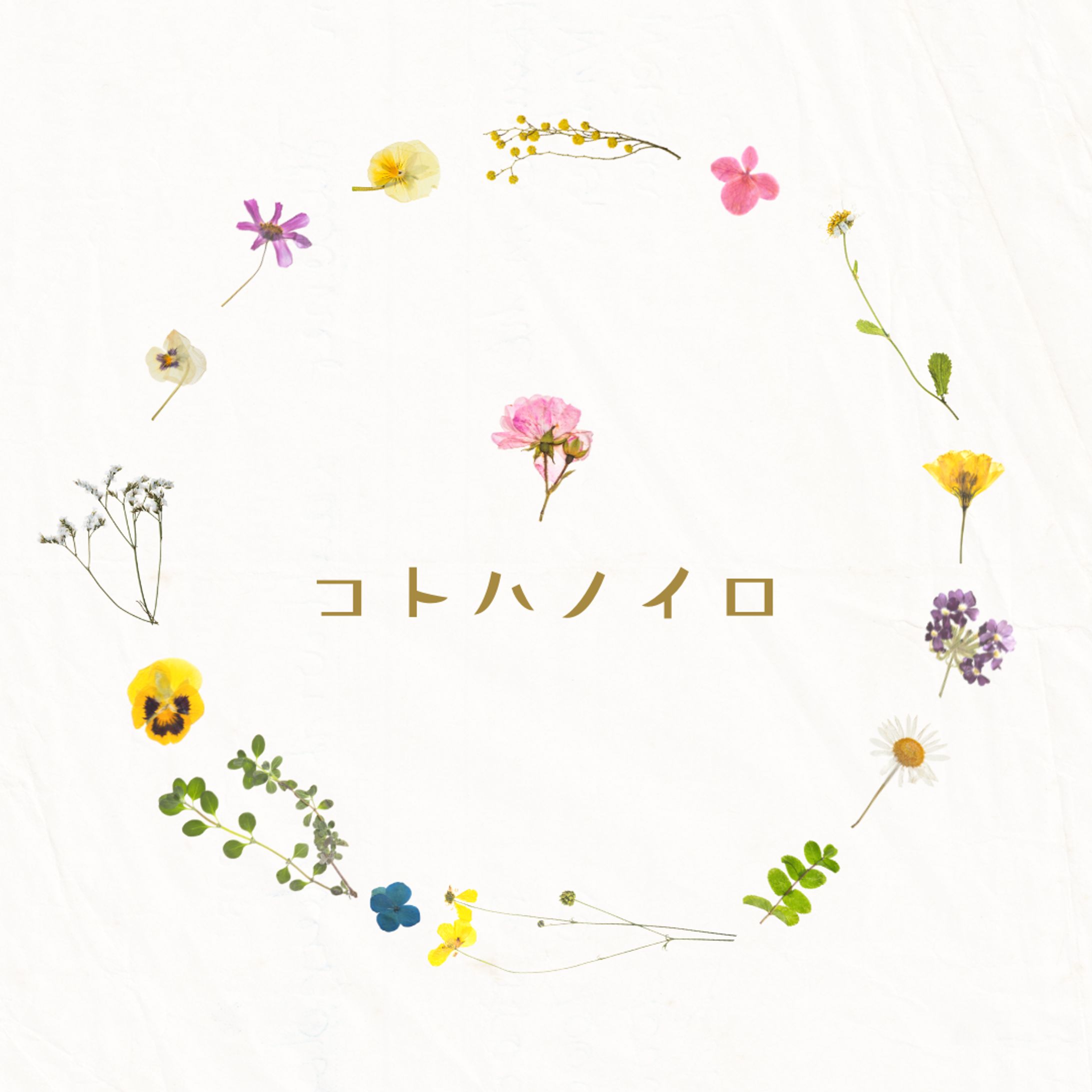 可愛いロゴ-1